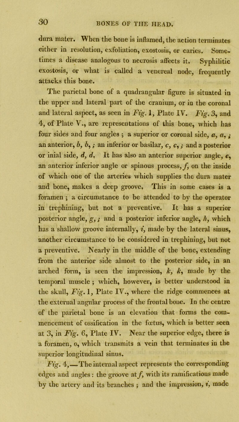 so dura mater. When the bone is inflamed, the action terminates either in resolution, exfoliation, exostosis, or caries. Some- times a disease analogous to necrosis affects it. Syphilitic exostosis, or what is called a venereal node, frequently attacks this bone. The parietal bone of a quadrangular figure is situated in the upper and lateral part of the cranium, or in the coronal and lateral aspect, as seen in Fig. 1, Plate IV. Fig. 3, and 4, of Plate V., are representations of this bone, which has four sides and four angles ; a superior or coronal side, a, «, ; an anterior, b, 6,,* an inferior or basilar, c, c,; and a posterior or inial side, d, d. It has also an anterior superior angle, e, an anterior inferior angle or spinous process,^ on the inside of which one of the arteries which supplies the dura mater and bone, makes a deep groove. This in some cases is a foramen ; a circumstance to be attended to by the operator in trephining, but not a preventive. It has a superior posterior angle, g,; and a posterior inferior angle, h, which has a shallow groove internally, i, made by the lateral sinus, another circumstance to be considered in trephining, but not a preventive. Nearly in the middle of the bone, extending from the anterior side almost to the posterior side, in an arched form, is seen the impression, k, £, made by the temporal muscle ; which, however, is better understood in the skull, Fig. 1, Plate IV., where the ridge commences at the external angular process of the frontal bone. In the centre of the parietal bone is an elevation that forms the com- mencement of ossification in the foetus, which is better seen at 3, in Fig. 6, Plate IV. Near the superior edge, there is a foramen, o, which transmits a vein that terminates in the superior longitudinal sinus. Fig. 4,—The internal aspect represents the corresponding edges and angles : the groove at/, with its ramifications made by the artery and its branches ; and the impression, t, made