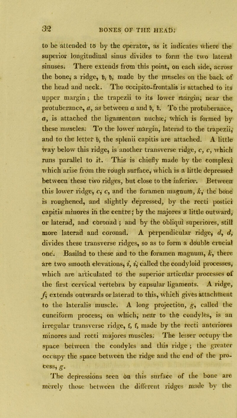 to be attended to by the operator, as it indicates where the superior longitudinal sinus divides to form the two lateral sinuses. There extends from this point, on each side, across the bone; a ridge, fc, made by the muscles on the back of the head and neck. The Occipito-frontalis is attached to its upper margin; the trapezii to its lower margin; near the protuberance, a, as between a and 6, f). To the protuberance, a, is attached the ligamentum nuchae; which is formed by these muscles. To the lower margin, laterad to the trapezii; and to the letter It, the splenii capitis are attached. A little Way below this ridge, is another transverse ridge, c, c, which runs parallel to it. This is chiefly made by the complex! which arise from the rough surface, which is a little depressed between these two ridges, but close to the inferior. Between this lower ridge, c, c, and the foramen magnum, A,' the bone is roughened, and slightly depressed, by the recti postici capitis minores in the centre* by the majores a little outward, or laterad, and COronad ; and by the obliqui superiores, still more laterad and corOnad. A perpendicular ridge, d, d, divides these transverse ridges, so as to form a double crucial one; Basilad to these and to the foramen magnum, Ay there are two smooth elevations, i, called the condyloid processes, which are articulated to' the superior articular processes of the lirst cervical vertebra by capsular ligaments. A ridge, fi extends outwards or laterad to this, which gives attachment to the lateralis muscle. A long projection, g, called the cuneiform process; on which; near to the condyles, is an irregular transverse ridge, f, f, made by the recti anteriores minores and recti majores muscles; The lesser occupy the space between the condyles and this ridge ; the greater occupy the space between the ridge and the end of the pro- cess, g. The depressions Seen on this surface of the bone are merely those between the different ridges made by the