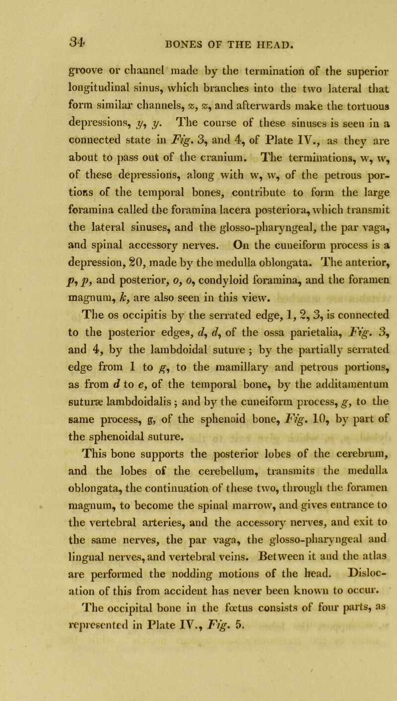3 4 groove or channel made by the termination of the superior longitudinal sinus, which branches into the two lateral that form similar channels, s, js, and afterwards make the tortuous depressions, y, y. The course of these sinuses is seen in a connected state in Fig. 3, and 4, of Plate IV., as they are about to pass out of the cranium. The terminations, w, w, of these depressions, along with w, w, of the petrous por- tions of the temporal bones, contribute to form the large foramina called the foramina lacera posteriora, which transmit the lateral sinuses, and the glosso-pharyngeal, the par vaga, and spinal accessory nerves. On the cuneiform process is a depression, 20, made by the medulla, oblongata. The anterior, jp, and posterior, o, o, condyloid foramina, and the foramen magnum, k, are also seen in this view. The os occipitis by the serrated edge, 1, 2, 3, is connected to the posterior edges, J, J, of the ossa parietalia, Fig. 3, and 4, b)^ the lambdoidal suture ; by the partially serrated edge from 1 to g, to the mamillary and petrous portions, as from d to e, of the temporal bone, by the additamentum suturae lambdoidalis ; and by the cuneiform process, g, to the same process, g, of the sphenoid bone, Fig. 10, by part of the sphenoidal suture. This bone supports the posterior lobes of the cerebrum, and the lobes of the cerebellum, transmits the medulla oblongata, the continuation of these two, through the foramen magnum, to become the spinal marrow, and gives entrance to the vertebral arteries, and the accessory nerves, and exit to the same nerves, the par vaga, the glosso-pharyngeal and lingual nerves, and vertebral veins. Between it and the atlas are performed the nodding motions of the head. Disloc- ation of this from accident has never been known to occur. The occipital bone in the foetus consists of four parts, as represented in Plate IV., Fig. 5.