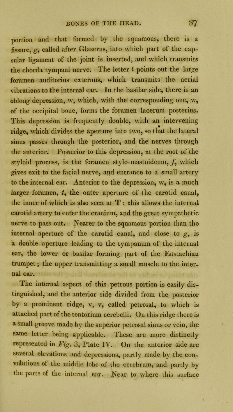 portion and that formed by the squamous, there is a fissure, g, called after Glaserus, into which part of the cap- sular ligament of the joint is inserted, and which transmits the chorda tympani nerve. The letter I points out the large foramen auditorius externus, which transmits the aerial vibrations to the internal ear. In the basilar side, there is an oblong depression, w, which, with the corresponding one, w, of the occipital bone, forms the foramen lacerum posterius. This depression is frequently double, with an intervening ridge, which divides the aperture into two, so that the lateral sinus passes through the posterior, and the nerves through the anterior. Posterior to this depression, at the root of the styloid process, is the foramen stylo-mastoideum, /, which gives exit to the facial nerve, and entrance to a small artery to the internal ear. Anterior to the depression, w, is a much larger foramen, /, the outer aperture of the carotid canal, the inner of which is also seen at T: this allows the internal carotid artery to enter the cranium, and the great sympathetic nerve to pass out. Nearer to the squamous portion than the internal aperture of the carotid canal, and close to g, is a double aperture leading to the tympanum of the internal ear, the lower or basilar forming part of the Eustachian trumpet; the upper transmitting a small muscle to the inter- nal ear. The internal aspect of this petrous portion is easily dis- tinguished, and the anterior side divided from the posterior by a prominent ridge, v, v, called petrosal, to which is attached part of the tentorium cerebelli. On this ridge there is a small groove made by the superior petrosal sinus or vein, the same letter being applicable. These are more distinctly represented in Fig, 3, Plate IV. On the anterior side are several elevations and depressions, partly made by the con- volutions ol the middle lobe of the cerebrum, and partly by the parts of the internal ear. Near to where this surface