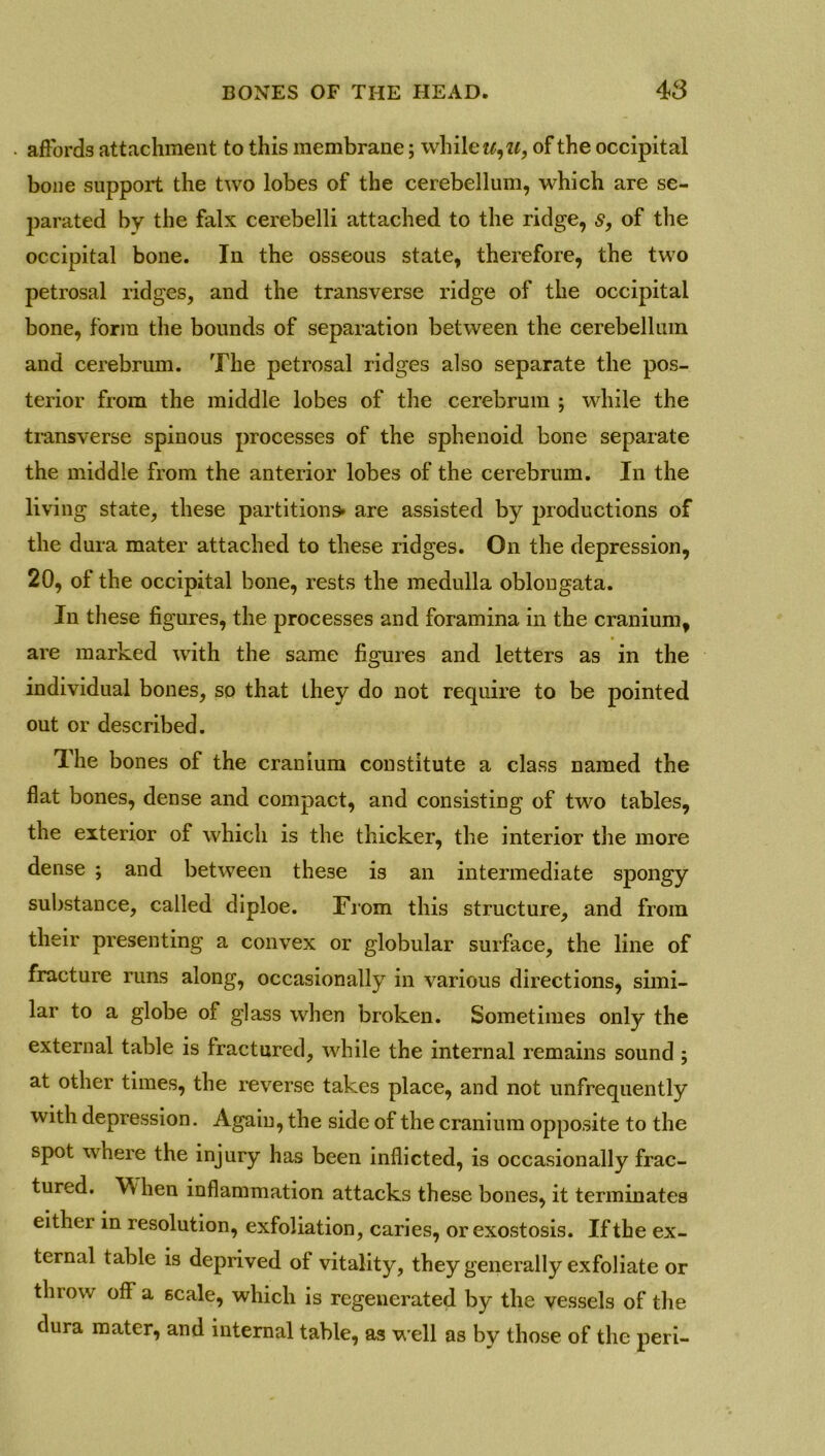 affords attachment to this membrane; while u^u, of the occipital bone support the two lobes of the cerebellum, which are se- parated by the falx cerebelli attached to the ridge, $, of the occipital bone. In the osseous state, therefore, the two petrosal ridges, and the transverse ridge of the occipital bone, form the bounds of separation between the cerebellum and cerebrum. The petrosal ridges also separate the pos- terior from the middle lobes of the cerebrum ; while the transverse spinous processes of the sphenoid bone separate the middle from the anterior lobes of the cerebrum. In the living state, these partitions* are assisted by productions of the dura mater attached to these ridges. On the depression, 20, of the occipital bone, rests the medulla oblongata. In these figures, the processes and foramina in the cranium, are marked with the same figures and letters as in the individual bones, so that they do not require to be pointed out or described. 3 he bones of the cranium constitute a class named the flat bones, dense and compact, and consisting of two tables, the exterior of which is the thicker, the interior the more dense ; and between these is an intermediate spongy substance, called diploe. From this structure, and from their presenting a convex or globular surface, the line of fracture runs along, occasionally in various directions, simi- lar to a globe of glass when broken. Sometimes only the external table is fractured, while the internal remains sound ; at other times, the reverse takes place, and not unfrequently with depression. Again, the side of the cranium opposite to the spot where the injury has been inflicted, is occasionally frac- tured. W hen inflammation attacks these bones, it terminates either in resolution, exfoliation, caries, or exostosis. If the ex- ternal table is deprived of vitality, they generally exfoliate or throw off a scale, which is regenerated by the vessels of the dura mater, and internal table, as well as by those of the peri-