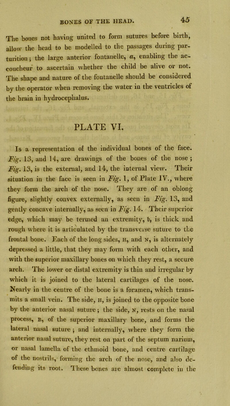 The bones not having united to form sutures before birth, allow the head to be modelled to the passages during par- turition ; the large anterior fontanelle, «, enabling the ac- coucheur to ascertain whether the child be alive or not. The shape and nature of the fontanelle should be considered by the operator when removing the water in the ventricles of the brain in hydrocephalus. PLATE VI, Is a representation of the individual bones of the face. Fig. 13, and 1.4, are drawings of the bones of the nose ; Fig. 13, is the external, and 14, the internal view. Their situation in the face is seen in Fig. I, of Plate IV., where they form the arch of the nose. They are of an oblong figure, slightly convex externally, as seen in Fig. 13, and gently concave internally, as seen in Fig. 14. Their superior edge, which may be termed an extremity, 5, is thick and rough where it is articulated by the transverse suture to the frontal bone. E,ach of the long sides, H, and n, is alternately depressed a little, that they may form with each other, and with the superior maxillary bones on which they rest, a secure arch. The lower or distal extremity is thin and irregular by which it is joined to the lateral cartilages of the nose. Nearly in the centre of the bone is a foramen, which trans- mits a small vein. The side, H, is joined to the opposite bone by the anterior nasal suture; the side, n, rests on the nasal process, b, of the superior maxillary bone, and forms the lateral nasal suture j and internally, where they form the anterior nasal suture, they rest on part of the septum narium, or nasal lamella of the ethmoid bone, and centre cartilage of the nostrils, forming the arch of the nose, and also de- fending its root. These bones are almost complete in the