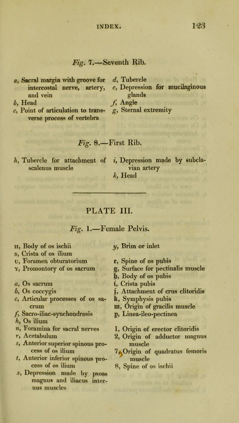 Fig. 7.—Seventh Rib. a, Sacral margin with groove for d, Tubercle intercostal nerve, artery, e, Depression for mucilaginous and vein glands l), Head f. Angle c, Point of articulation to trans- g, Sternal extremity verse process of vertebra Fig. 8.—First Rib. h, Tubercle for attachment of i, Depression made by subcla- scalenus muscle vian artery Jc, Head PLATE III. I Fig. 1.—Female Pelvis. h, Body of os ischii s, Crista of os ilium u, Foramen obturatorium y, Promontory of os sacrum a, Os sacrum b, Os coccygis c, Articular processes of os sa- crum f Sacro-iliac-synchondrosis A, Os ilium n, Foramina for sacral nerves r, Acetabulum s, Anterior superior spinous pro- cess of os ilium t, Anterior inferior spinous pro- cess of os ilium x, Depression made by psoas magnus and iliacus inter- ims muscles y, Brim or inlet t, Spine of os pubis g, Surface for pectinalis muscle i), Body of os pubis t, Crista pubis f, Attachment of crus clitoridis ft, Symphysis pubis lit, Origin of gracilis muscle g, Linea-ileo-pectinea 1, Origin of erector clitoridis 2, Origin of adductor magnus muscle 7^Origin of quadratus femoris muscle 8, Spine of os ischii