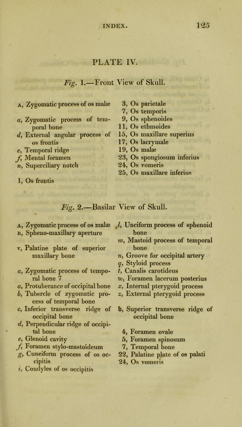 PLATE IV. Fig. 1.—Front A, Zygomatic process of os malse a, Zygomatic process of tem- poral bone d, External angular process ot os frontis e, Temporal ridge f, Mental foramen n, Superciliary notch 1, Os frontis Fig. 2.—Basilar A, Zygomatic process of os malae r, Spheno-maxillary aperture v, Palatine plate of superior maxillary bone a, Zygomatic process of tempo- ral bone 7 a, Protuberance of occipital bone b, Tubercle of zygomatic pro- cess of temporal bone c, Inferior transverse ridge of occipital bone d, Perpendicular ridge of occipi- tal bone e, Glenoid cavity Foramen stylo-mastoideum g, Cuneiform process of os oc- cipitis i, Condyles of os occipitis View of Skull. 3, Os parietale 7, Os temporis 9, Os sphenoides 11, Os ethmoides 15, Os maxillare superius 17, Os lacrymale 19, Os malse 23, Os spongiosum inferius 24, Os vomeris 25, Os maxillare inferius View of Skull. I, Unciform process of sphenoid bone m} Mastoid process of temporal bone n, Groove for occipital artery q, Styloid process t, Canalis carotideus to, Foramen lacerum posterius x, Internal pterygoid process z, External pterygoid process h, Superior transverse ridge of occipital bone 4, Foramen ovale 5, Foramen spinosum 7, Temporal bone 22, Palatine plate of os palati 24, Os vomeris