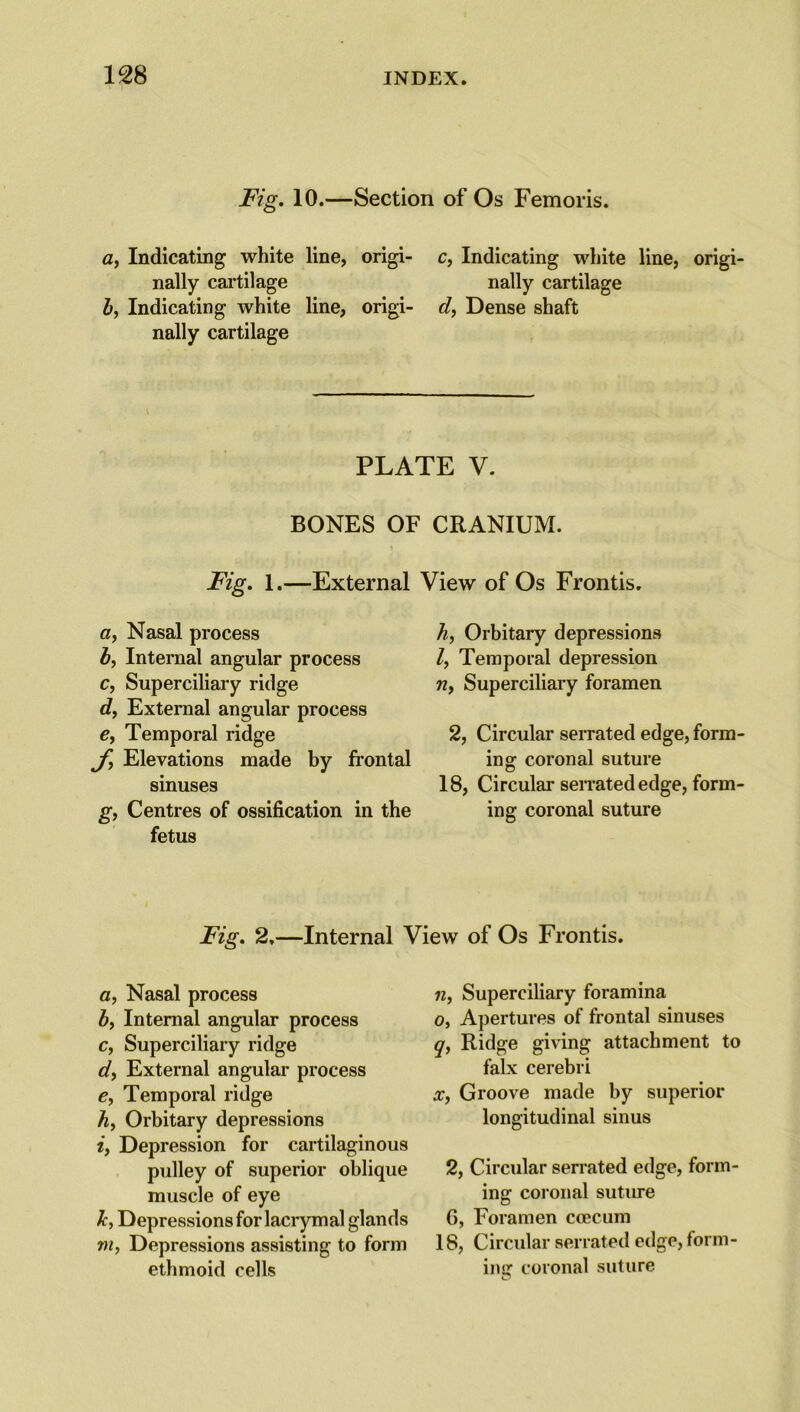 Fig. 10.—Section of Os Femoris. a, Indicating white line, origi- c, Indicating white line, origi- nally cartilage nally cartilage b, Indicating white line, origi- d, Dense shaft nally cartilage PLATE V. BONES OF CRANIUM. Fig. 1.—External «, Nasal process b, Internal angular process c, Superciliary ridge d, External angular process e, Temporal ridge £ Elevations made by frontal sinuses g, Centres of ossification in the fetus View of Os Frontis. h, Orbitary depressions l, Temporal depression n, Superciliary foramen 2, Circular serrated edge, form- ing coronal suture 18, Circular serrated edge, form- ing coronal suture Fig. 2,—Internal View of Os Frontis. a, Nasal process b, Internal angular process c, Superciliary ridge */, External angular process e, Temporal ridge b, Orbitary depressions i, Depression for cartilaginous pulley of superior oblique muscle of eye Jc, Depressions for lacrymal glands m, Depressions assisting to form ethmoid cells n, Superciliary foramina o, Apertures of frontal sinuses q, Ridge giving attachment to falx cerebri x, Groove made by superior longitudinal sinus 2, Circular serrated edge, form- ing coronal suture G, Foramen ccecum 18, Circular serrated edge, form- ing coronal suture