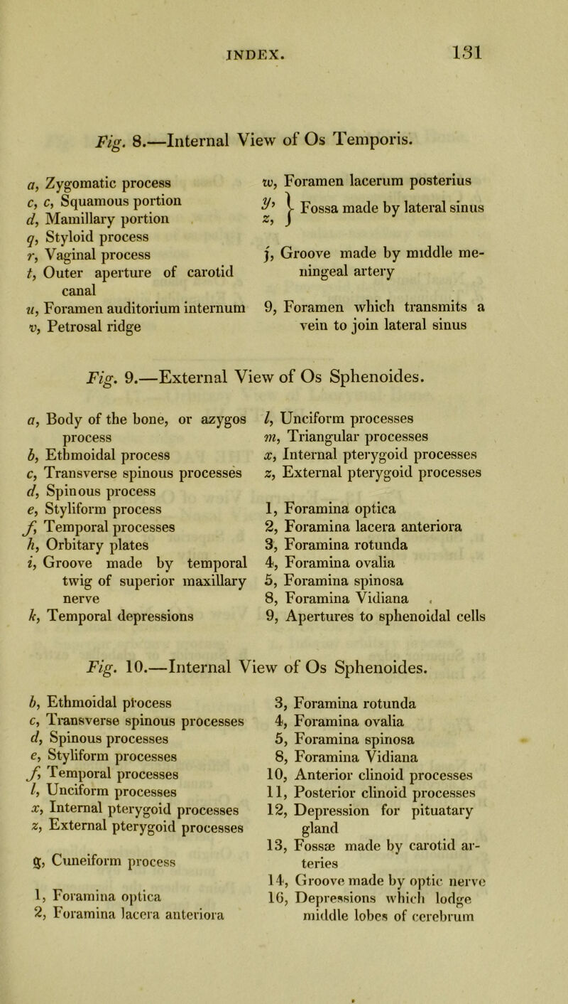 Fig. 8.—Internal View of Os Temporis. a, Zygomatic process c, c, Squamous portion d, Mamillary portion q, Styloid process r, Vaginal process t, Outer aperture of carotid canal u, Foramen auditorium internum v, Petrosal ridge iu, Foramen lacerum posterius z, } Fossa made by lateral sinus j, Groove made by middle me- ningeal artery 9, Foramen which transmits a vein to join lateral sinus Fig. 9.—External View of Os Sphenoides. a, Body of the bone, or azygos process b, Ethmoidal process c, Transverse spinous processes d, Spinous process e, Styliform process f, Temporal processes h, Orbitary plates if Groove made by temporal twig of superior maxillary nerve k, Temporal depressions l, Unciform processes m, Triangular processes x, Internal pterygoid processes Zf External pterygoid processes 1, Foramina optica 2, Foramina lacera anteriora 3, Foramina rotunda 4, Foramina ovalia 5, Foramina spinosa 8, Foramina Vidiana 9, Apertures to sphenoidal cells Fig. 10.—Internal View of Os Sphenoides. bf Ethmoidal plocess c, Transverse spinous processes d, Spinous processes ef Styliform processes ff Temporal processes If Unciform processes x, Internal pterygoid processes Zf External pterygoid processes 3, Cuneiform process 1, Foramina optica 2, Foramina lacera anteriora 3, Foramina rotunda 4, Foramina ovalia 5, Foramina spinosa 8, Foramina Vidiana 10, Anterior clinoid processes 11, Posterior clinoid processes 12, Depression for pituatary gland 13, Fossa? made by carotid ar- teries 14, Groove made by optic nerve 16, Depressions which lodge middle lobes of cerebrum