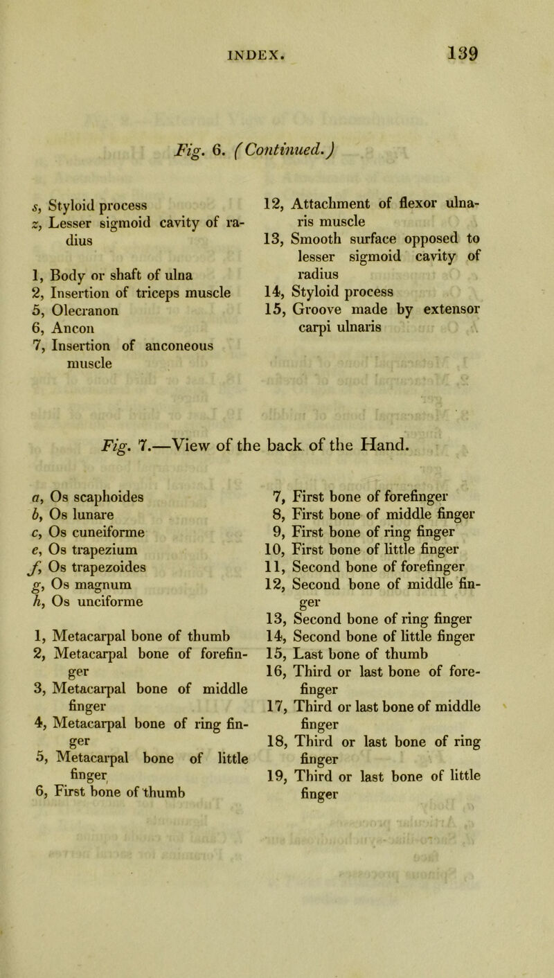 Fig. 6. (Continued.) s, Styloid process z, Lesser sigmoid cavity of ra- dius 1, Body or shaft of ulna 2, Insertion of triceps muscle 5, Olecranon 6, Ancon 7, Insertion of anconeous muscle 12, Attachment of flexor ulna- ris muscle 13, Smooth surface opposed to lesser sigmoid cavity of radius 14, Styloid process 15, Groove made by extensor carpi ulnaris Fig. 7.—View of the back of the Hand. cr, Os scaphoides by Os lunare Cy Os cuneiforme e, Os trapezium fy Os trapezoides gy Os magnum hy Os unciforme 1, Metacarpal bone of thumb 2, Metacarpal bone of forefin- ger 3, Metacarpal bone of middle finger 4, Metacarpal bone of ring fin- ger 5, Metacarpal bone of little finger 6, First bone of thumb 7, First bone of forefinger 8, First bone of middle finger 9, First bone of ring finger 10, First bone of little finger 11, Second bone of forefinger 12, Second bone of middle fin- ger 13, Second bone of ring finger 14, Second bone of little finger 15, Last bone of thumb 16, Third or last bone of fore- finger 17, Third or last bone of middle finger 18, Third or last bone of ring finger 19, Third or last bone of little finger