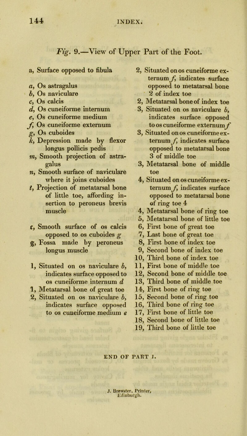 Fig. 9.—View of Upper Part of the Foot. a, Surface opposed to tibula a, Os astragalus 1), Os naviculare c, Os calcis dy Os euneiforme internum e, Os euneiforme medium f Os euneiforme externum gy Os cuboides ky Depression made by flexor longus pollicis pedis my Smooth projection of astra- galus 7iy Smooth surface of naviculare where it joins cuboides ty Projection of metatarsal bone of little toe, affording in- sertion to peroneus brevis muscle ty Smooth surface of os calcis opposed to os cuboides g Fossa made by peroneus longus muscle 1, Situated on os naviculare by indicates surface opposed to os euneiforme internum d 1, Metatarsal bone of great toe 2, Situated on os naviculare by indicates surface opposed to os euneiforme medium e 2, Situated on os euneiforme ex- ternum fy indicates surface opposed to metatarsal bone 2 of index toe 2, Metatarsal bone of index toe 3, Situated on os naviculare b, indicates surface opposed to os euneiforme externumy* 3, Situated on os euneiforme ex- ternum fy indicates surface opposed to metatarsal bone 3 of middle toe 3, Metatarsal bone of middle toe 4, Situated on os euneiforme ex- ternum f indicates surface opposed to metatarsal bone of ring toe 4 4, Metatarsal bone of ring toe 5, Metatarsal bone of little toe 6, First bone of great toe 7, Last bone of great toe 8, First bone of index toe 9, Second bone of index toe 10, Third bone of index toe 11, First bone of middle toe 12, Second bone of middle toe 13, Third bone of middle toe 14, First bone of ring toe 15, Second bone of ling toe 16, Third bone of ring toe 17, First bone of little toe 18, Second bone of little toe 19, Third bone of little toe END OF PART J. J. Brewster, Printer, Edinburgh.