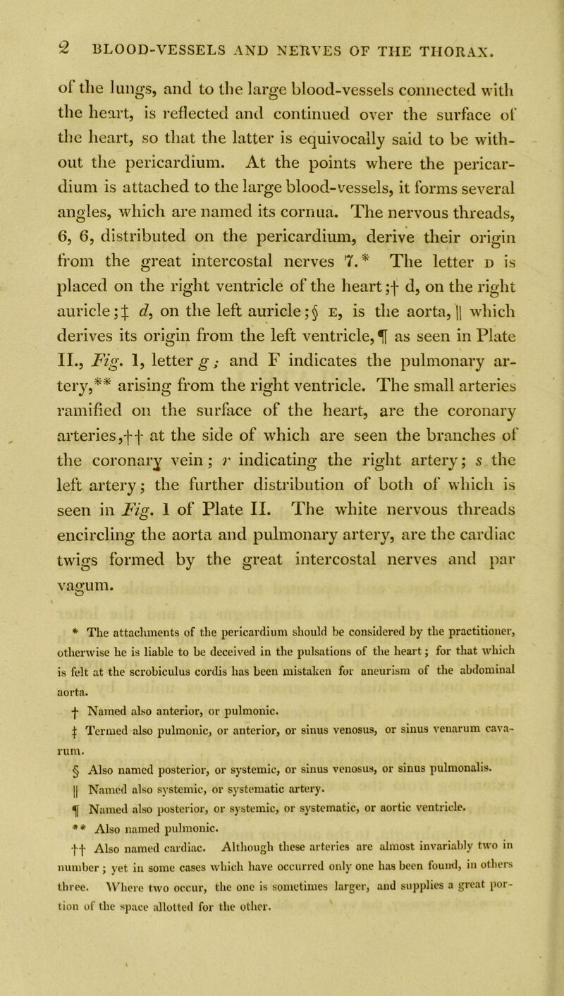 oi the lungs, and to the large blood-vessels connected with the heart, is reflected and continued over the surface of the heart, so that the latter is equivocally said to be with- out the pericardium. At the points where the pericar- dium is attached to the large blood-vessels, it forms several angles, which are named its cornua. The nervous threads, 6, 6, distributed on the pericardium, derive their origin from the great intercostal nerves 7.* * * § The letter d is placed on the right ventricle of the heart ;f d, on the right auricle;J d, on the left auricle;§ e, is the aorta, |] which derives its origin from the left ventricle, % as seen in Plate II., Fig. 1, letter g; and F indicates the pulmonary ar- tery,** arising from the right ventricle. The small arteries ramified on the surface of the heart, are the coronary arteries,'!'']' at the side of which are seen the branches of the coronary vein; r indicating the right artery; s the left artery; the further distribution of both of which is seen in Fig. 1 of Plate II. The white nervous threads encircling the aorta and pulmonary artery, are the cardiac twigs formed by the great intercostal nerves and par vagum. * The attachments of the pericardium should be considered by the practitioner, otherwise he is liable to be deceived in the pulsations of the heart; for that which is felt at the scrobiculus cordis has been mistaken for aneurism of the abdominal aorta. Named also anterior, or pulmonic. | Termed also pulmonic, or anterior, or sinus venosus, or sinus venarum cava- rum. § Also named posterior, or systemic, or sinus venosus, or sinus pulmonalis. || Named also systemic, or systematic artery. Named also posterior, or systemic, or systematic, or aortic ventricle. ** Also named pulmonic. ff Also named cardiac. Although these arteries are almost invariably two in number ; yet in some cases which have occurred only one has been found, in others three. Where two occur, the one is sometimes larger, and supplies a great por- tion of the space allotted for the other.