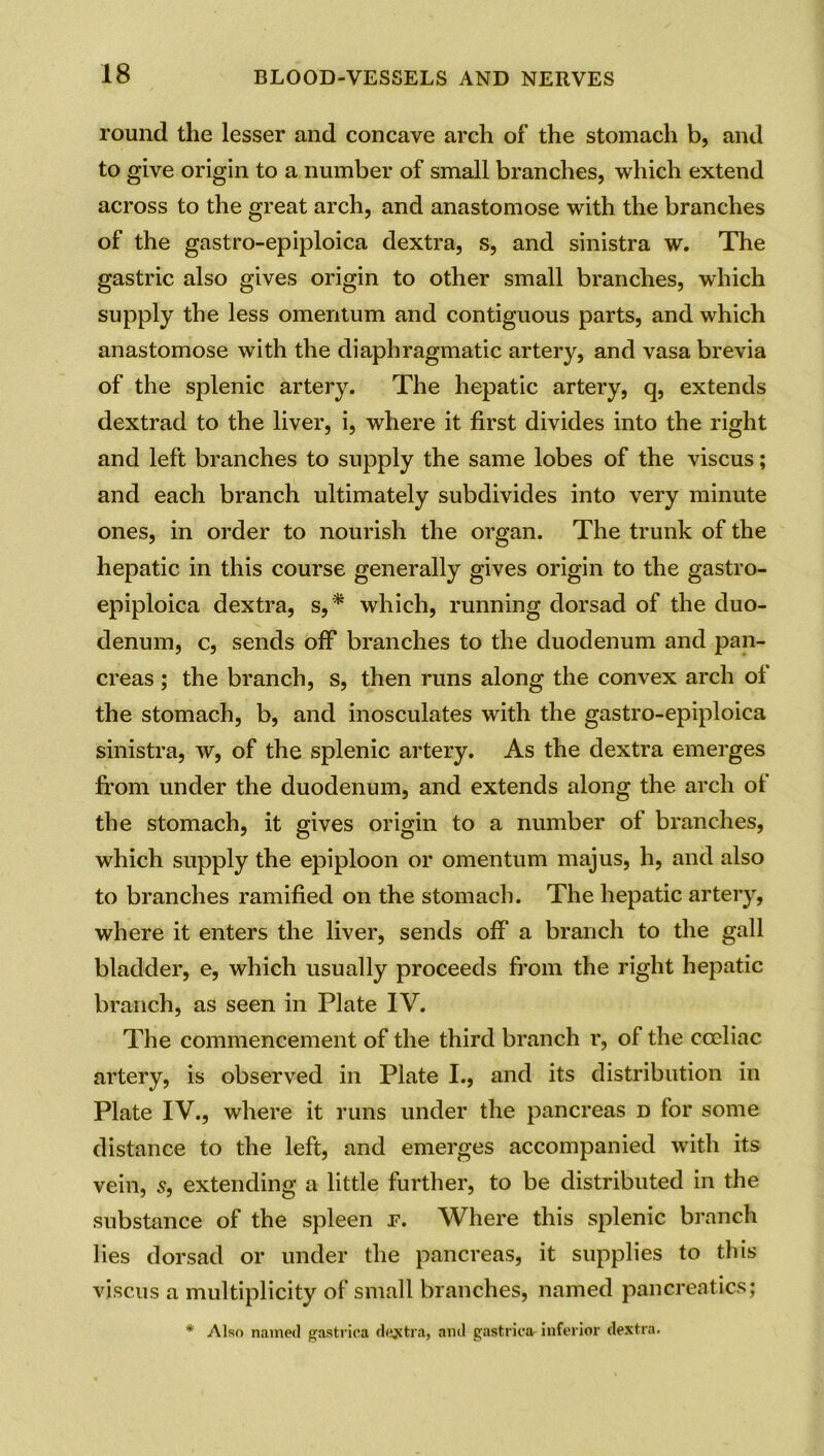 round the lesser and concave arch of the stomach b, and to give origin to a number of small branches, which extend across to the great arch, and anastomose with the branches of the gastro-epiploica dextra, s, and sinistra w. The gastric also gives origin to other small branches, which supply the less omentum and contiguous parts, and which anastomose with the diaphragmatic artery, and vasa brevia of the splenic artery. The hepatic artery, q, extends dextrad to the liver, i, where it first divides into the right and left branches to supply the same lobes of the viscus; and each branch ultimately subdivides into very minute ones, in order to nourish the organ. The trunk of the hepatic in this course generally gives origin to the gastro- epiploica dextra, s,* which, running dorsad of the duo- denum, c, sends off branches to the duodenum and pan- creas ; the branch, s, then runs along the convex arch of the stomach, b, and inosculates with the gastro-epiploica sinistra, w, of the splenic artery. As the dextra emerges from under the duodenum, and extends along the arch of the stomach, it gives origin to a number of branches, which supply the epiploon or omentum majus, h, and also to branches ramified on the stomach. The hepatic artery, where it enters the liver, sends off a branch to the gall bladder, e, which usually proceeds from the right hepatic branch, as seen in Plate IV. The commencement of the third branch r, of the cceliac artery, is observed in Plate I., and its distribution in Plate IV., where it runs under the pancreas d for some distance to the left, and emerges accompanied with its vein, 5, extending a little further, to be distributed in the substance of the spleen f. Where this splenic branch lies dorsad or under the pancreas, it supplies to this viscus a multiplicity of small branches, named pancreatics;