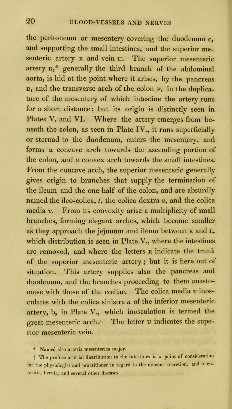 the peritoneum or mesentery covering the duodenum c, and supporting the small intestines, and the superior me- senteric artery r and vein u. The superior mesenteric artery r,* generally the third branch of the abdominal aorta, is hid at the point where it arises, by the pancreas d, and the transverse arch of the colon p, in the duplica- ture of the mesentery of which intestine the artery runs for a short distance; but its origin is distinctly seen in Plates V. and VI. Where the artery emerges from be- neath the colon, as seen in Plate IV., it runs superficially or sternad to the duodenum, enters the mesentery, and forms a concave arch towards the ascending portion of the colon, and a convex arch towards the small intestines. From the concave arch, the superior mesenteric generally gives origin to branches that supply the termination of the ileum and the one half of the colon, and are absurdly named the ileo-colica, t, the colica dextra u, and the colica media v. From its convexity arise a multiplicity of small branches, forming elegant arches, which become smaller as they approach the jejunum and ileum between k and l, which distribution is seen in Plate V., where the intestines are removed, and where the letters r indicate the trunk of the superior mesenteric artery; but it is here out ot situation. This artery supplies also the pancreas and duodenum, and the branches proceeding to them anasto- mose with those of the coeliac. The colica media v inos- culates with the colica sinistra a of the inferior mesenteric artery, b, in Plate V., which inosculation is termed the great mesenteric arch.f The letter u indicates the supe- rior mesenteric vein. * Named also arteria mesenterica major. f The profuse arterial distribution to the intestines is a point of consideration for the physiologist and practitioner in regard to the mucous secretion, and to en- teritis, hernia, and several other diseases.