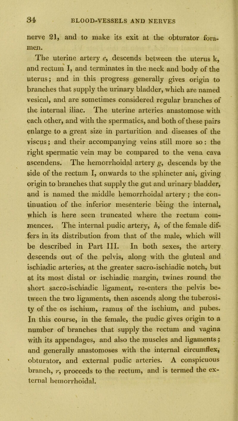 nerve 21, and to make its exit at the obturator fora- men. The uterine artery e, descends between the uterus k, and rectum I, and terminates in the neck and body of the uterus; and in this progress generally gives origin to branches that supply the urinary bladder, which are named vesical, and are sometimes considered regular branches of the internal iliac. The uterine arteries anastomose with each other, and with the spermatics, and both of these pairs enlarge to a great size in parturition and diseases of the viscus; and their accompanying veins still more so: the right spermatic vein may be compared to the vena cava ascendens. The hemorrhoidal artery g, descends by the side of the rectum I, onwards to the sphincter ani, giving origin to branches that supply the gut and urinary bladder, and is named the middle hemorrhoidal artery ; the con- tinuation of the inferior mesenteric being the internal, which is here seen truncated where the rectum com- mences. The internal pudic artery, 7z, of the female dif- fers in its distribution from that of the male, which will be described in Part III. In both sexes, the artery descends out of the pelvis, along with the gluteal and ischiadic arteries, at the greater sacro-ischiadic notch, but at its most distal or ischiadic margin, twines round the short sacro-ischiadic ligament, re-enters the pelvis be- tween the two ligaments, then ascends along the tuberosi- ty of the os ischium, ramus of the ischium, and pubes. In this course, in the female, the pudic gives origin to a number of branches that supply the rectum and vagina with its appendages, and also the muscles and ligaments; and generally anastomoses with the internal circumflex, obturator, and external pudic arteries. A conspicuous branch, r, proceeds to the rectum, and is termed the ex- ternal hemorrhoidal.