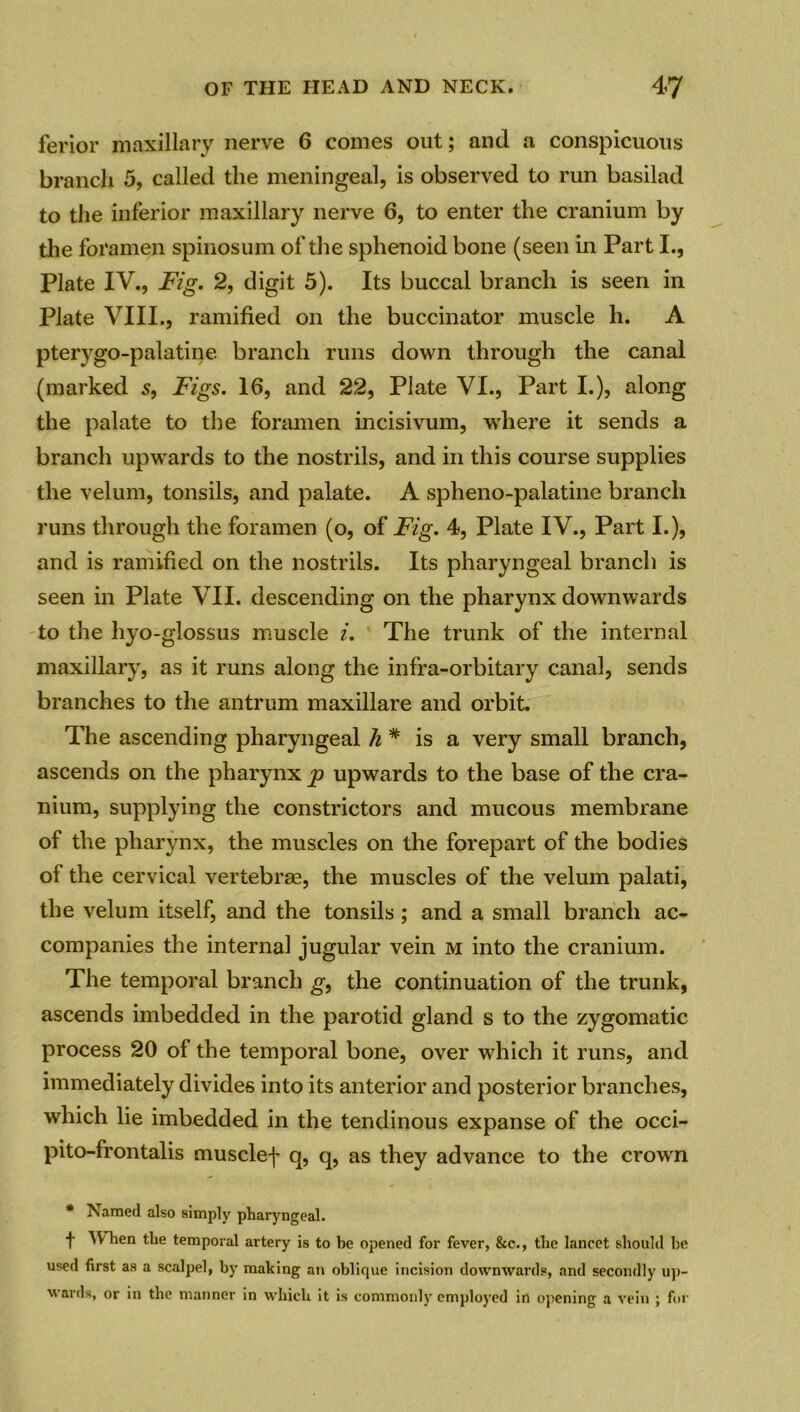 ferior maxillary nerve 6 comes out; and a conspicuous branch 5, called the meningeal, is observed to run basilad to the inferior maxillary nerve 6, to enter the cranium by the foramen spinosum of the sphenoid bone (seen in Part I., Plate IV., Fig. 2, digit 5). Its buccal branch is seen in Plate VIII., ramified on the buccinator muscle h. A pterygo-palatine branch runs down through the canal (marked s, Figs. 16, and 22, Plate VI., Part I.), along the palate to the foramen incisivum, where it sends a branch upwards to the nostrils, and in this course supplies the velum, tonsils, and palate. A spheno-palatine branch runs through the foramen (o, of Fig. 4, Plate IV., Part I.), and is ramified on the nostrils. Its pharyngeal branch is seen in Plate VII. descending on the pharynx downwards to the hyo-glossus muscle i. The trunk of the internal maxillary, as it runs along the infra-orbitary canal, sends branches to the antrum maxillare and orbit. The ascending pharyngeal /;# is a very small branch, ascends on the pharynx p upwards to the base of the cra- nium, supplying the constrictors and mucous membrane of the pharynx, the muscles on the forepart of the bodies of the cervical vertebrae, the muscles of the velum palati, the velum itself, and the tonsils; and a small branch ac- companies the internal jugular vein m into the cranium. The temporal branch g, the continuation of the trunk, ascends imbedded in the parotid gland s to the zygomatic process 20 of the temporal bone, over which it runs, and immediately divides into its anterior and posterior branches, which lie imbedded in the tendinous expanse of the occi- pito-frontalis musclef q, q, as they advance to the crown * Named also simply pharyngeal. t When the temporal artery is to be opened for fever, &c., the lancet should be used first as a scalpel, by making an oblique incision downwards, and secondly up- wards, or in the manner in which it is commonly employed in opening a vein ; for