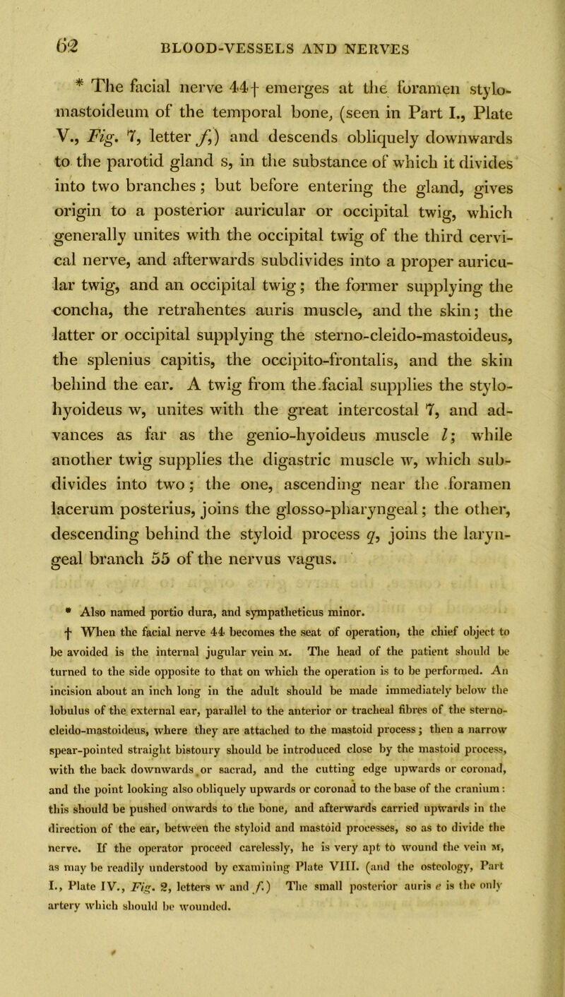 * The facial nerve 44 f emerges at the foramen stylo- mastoideum of the temporal bone, (seen in Part I., Plate V., Fig. 7, letter f,) and descends obliquely downwards to the parotid gland s, in the substance of which it divides into two branches; but before entering the aland, aives origin to a posterior auricular or occipital twig, which generally unites with the occipital twig of the third cervi- cal nerve, and afterwards subdivides into a proper auricu- lar twig, and an occipital twig; the former supplying the concha, the retrahentes auris muscle, and the skin; the latter or occipital supplying the sterno-cleido-mastoideus, the splenius capitis, the occipito-frontalis, and the skin behind the ear. A twig from the.facial supplies the stylo- hyoideus w, unites with the great intercostal 7, and ad- vances as far as the genio-hyoideus muscle Z; while another twig supplies the digastric muscle w, which sub- divides into two; the one, ascending near the foramen lacerum posterius, joins the glosso-pharyngeal; the other, descending behind the styloid process <7, joins the laryn- geal branch 55 of the nervus vagus. * Also named portlo dura, and sympatheticus minor. -}- When the facial nerve 44 becomes the seat of operation, the chief object to be avoided is the internal jugular vein m. The head of the patient should be turned to the side opposite to that on which the operation is to be performed. An incision about an inch long in the adult should be made immediately below the lobulus of the external ear, parallel to the anterior or tracheal fibres of the sterno- cleido-mastoideus, where they are attached to the mastoid process; then a narrow spear-pointed straight bistoury should be introduced close by the mastoid process, with the back downwards or sacrad, and the cutting edge upwards or coronad, and the point looking also obliquely upwards or coronad to the base of the cranium: this should be pushed onwards to the bone, and afterwards carried upwards in the direction of the ear, between the styloid and mastoid processes, so as to divide the nerve. If the operator proceed carelessly, he is very apt to wound the vein m, as may be readily understood by examining Plate VIII. (and the osteology, Part I., Plate IV., Fig. 2, letters w and f.) The small posterior auris e is the only artery which should be wounded.