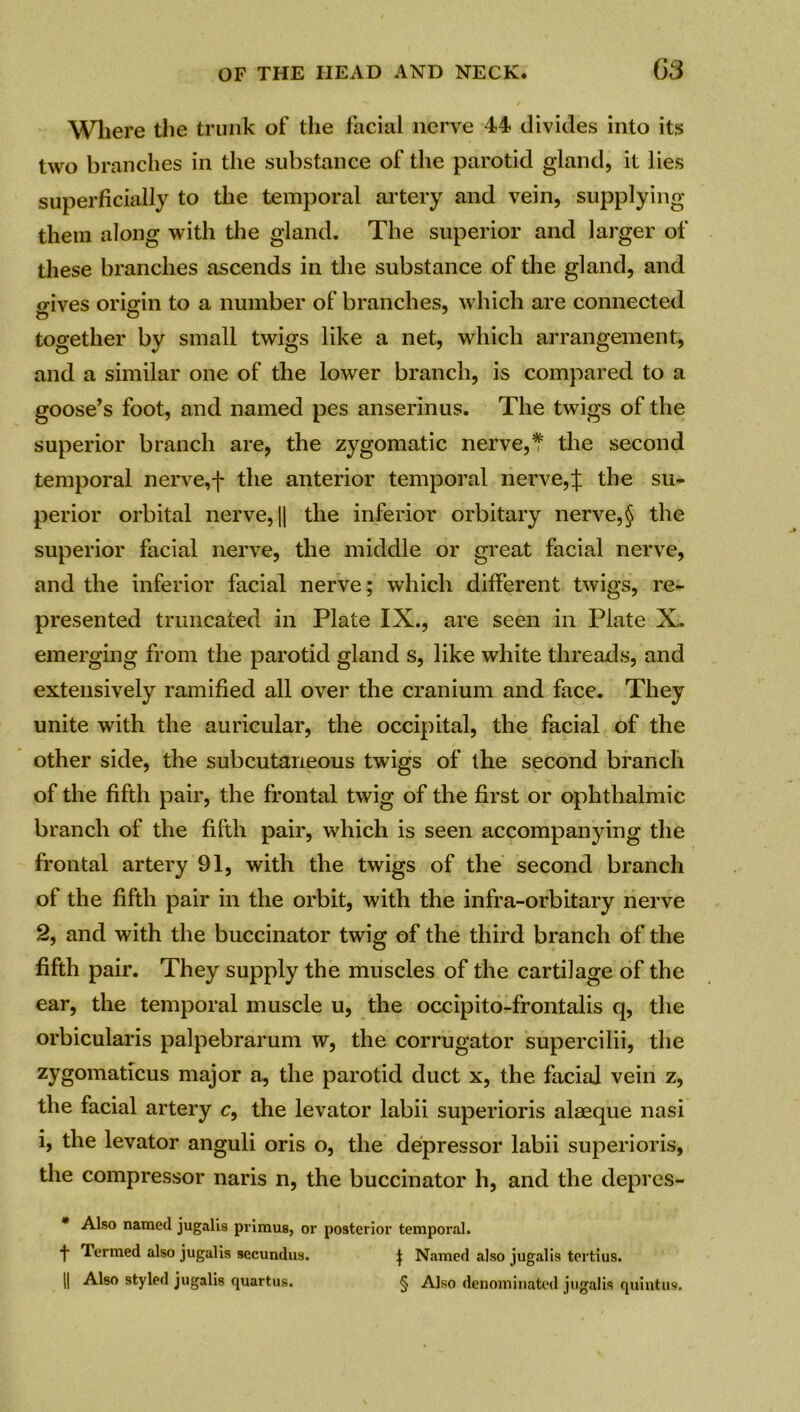 Where the trunk of the facial nerve 44 divides into its two branches in the substance of the parotid gland, it lies superficially to the temporal artery and vein, supplying them along with the gland. The superior and larger of these branches ascends in the substance of the gland, and o-ives origin to a number of branches, which are connected together by small twigs like a net, which arrangement, and a similar one of the lower branch, is compared to a goose’s foot, and named pes anserinus. The twigs of the superior branch are, the zygomatic nerve,f the second temporal nerve,f the anterior temporal nerve,J the su- perior orbital nerve, || the inferior orbitary nerve, § the superior facial nerve, the middle or great facial nerve, and the inferior facial nerve; which different twigs, re- presented truncated in Plate IX., are seen in Plate X. emerging from the parotid gland s, like white threads, and extensively ramified all over the cranium and face. They unite with the auricular, the occipital, the facial of the other side, the subcutaneous twigs of the second branch of the fifth pair, the frontal twig of the first or ophthalmic branch of the fifth pair, which is seen accompanying the frontal artery 91, with the twigs of the second branch of the fifth pair in the orbit, with the infra-orbitary nerve 2, and with the buccinator twig of the third branch of the fifth pair. They supply the muscles of the cartilage of the ear, the temporal muscle u, the occipito-frontalis q, the orbicularis palpebrarum w, the corrugator supercilii, the zygomaticus major a, the parotid duct x, the facial vein z, the facial artery c, the levator labii superioris alaeque nasi i, the levator anguli oris o, the depressor labii superioris, the compressor naris n, the buccinator h, and the depres- * Also named jugalis primus, or posterior temporal. t Termed also jugalis secundus. J Named also jugalis tertius. || Also styled jugalis quartus. § Also denominated jugalis quintus.