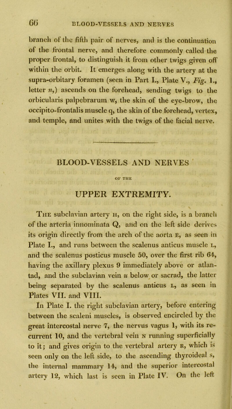 braneli of the fifth pair of nerves, and is the continuation ol the frontal nerve, and therefore commonly called the proper frontal, to distinguish it from other twigs given off within the orbit. It emerges along with the artery at the supra-orbitary foramen (seen in Part I., Plate V., Fig. 1., letter 71,) ascends on the forehead, sending twigs to the orbicularis palpebrarum w, the skin of the eye-brow, the occipito-frontalis muscle q, the skin of the forehead, vertex, and temple, and unites writh the twigs of the facial nerve. BLOOD-VESSELS AND NERVES OF THE UPPER EXTREMITY. The subclavian artery h, on the right side, is a branch of the arteria innominata Q, and on the left side derives its origin directly from the arch of the aorta e, as seen in Plate I., and runs between the scalenus anticus muscle l, and the scalenus posticus muscle 50, over the first rib 64, having the axillary plexus 9 immediately above or atlan- tad, and the subclavian vein u below or sacrad, the latter being separated by the scalenus anticus l, as seen in Plates VII. and VIII. In Plate I. the right subclavian artery, before entering between the scaleni muscles, is observed encircled by the great intercostal nerve 7, the nervus vagus 1, with its re- current 10, and the vertebral vein n running superficially to it; and gives origin to the vertebral artery R, which is seen only on the left side, to the ascending thyroideal s, the internal mammary 14, and the superior intercostal artery 12, which last is seen in Plate IV. On the left