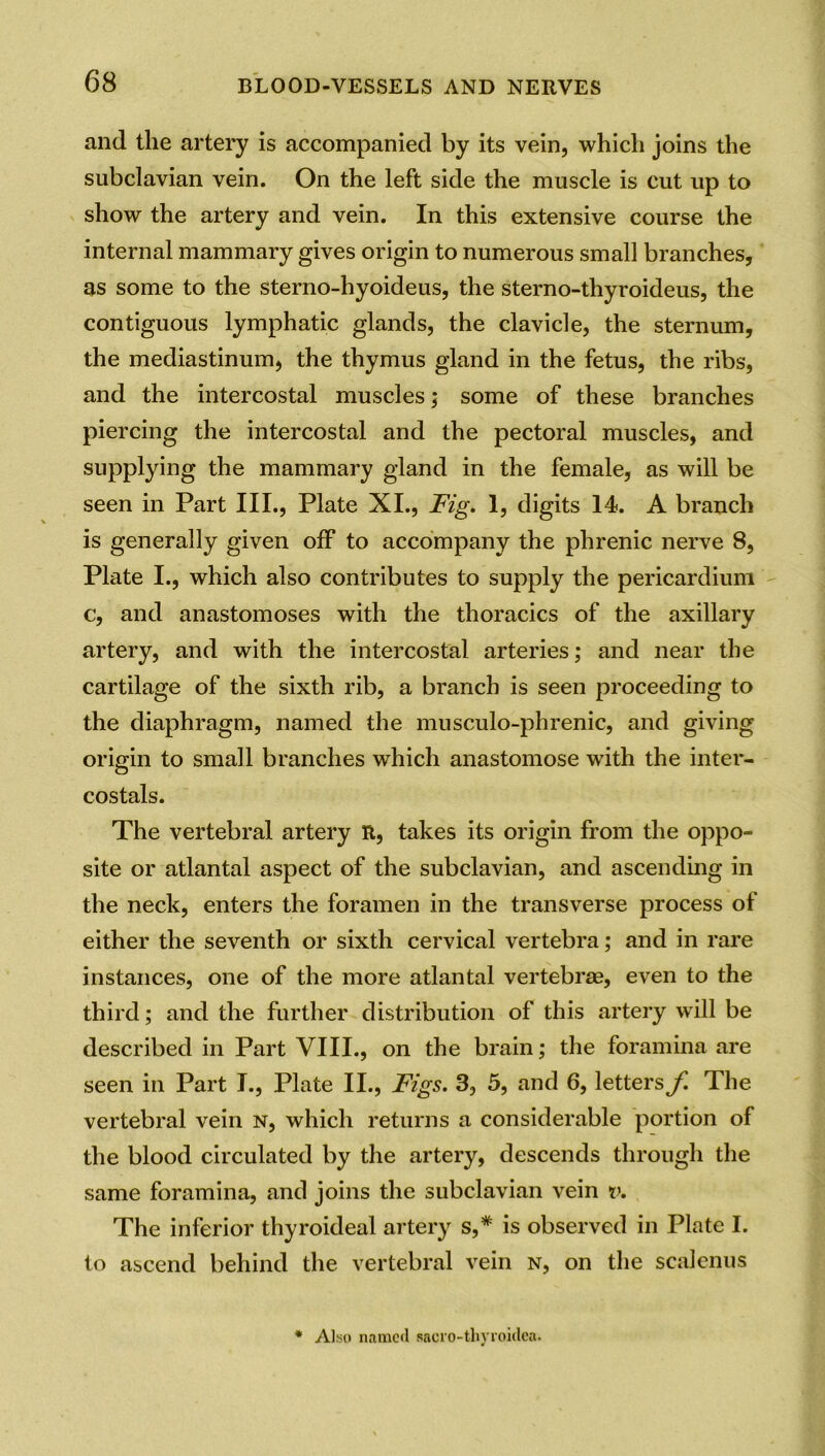 and the artery is accompanied by its vein, which joins the subclavian vein. On the left side the muscle is cut up to show the artery and vein. In this extensive course the internal mammary gives origin to numerous small branches, as some to the sterno-hyoideus, the sterno-thyroideus, the contiguous lymphatic glands, the clavicle, the sternum, the mediastinum, the thymus gland in the fetus, the ribs, and the intercostal muscles; some of these branches piercing the intercostal and the pectoral muscles, and supplying the mammary gland in the female, as will be seen in Part III., Plate XI., Fig. 1, digits 14. A branch is generally given off to accompany the phrenic nerve 8, Plate I., which also contributes to supply the pericardium c, and anastomoses with the thoracics of the axillary artery, and with the intercostal arteries; and near the cartilage of the sixth rib, a branch is seen proceeding to the diaphragm, named the musculo-phrenic, and giving origin to small branches which anastomose with the inter- costals. The vertebral artery R, takes its origin from the oppo- site or atlantal aspect of the subclavian, and ascending in the neck, enters the foramen in the transverse process of either the seventh or sixth cervical vertebra; and in rare instances, one of the more atlantal vertebrae, even to the third; and the further distribution of this artery will be described in Part VIII., on the brain; the foramina are seen in Part I., Plate II., Figs. 3, 5, and 6, letters f. The vertebral vein n, which returns a considerable portion of the blood circulated by the artery, descends through the same foramina, and joins the subclavian vein v. The inferior thyroideal artery s,* is observed in Plate I. to ascend behind the vertebral vein n, on the scalenus * Also named sacro-thvroidca.