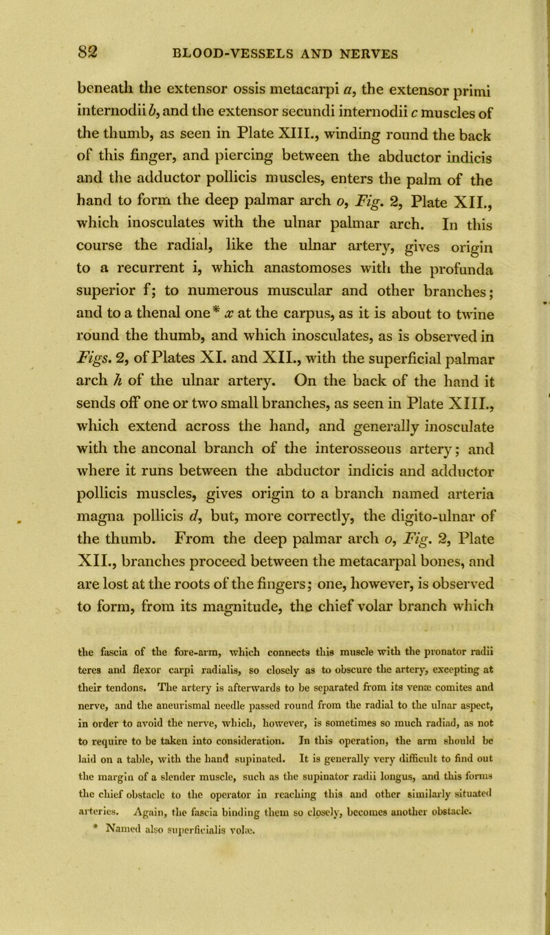 beneath the extensor ossis metacarpi a, the extensor primi internodiift, and the extensor secundi internodii c muscles of the thumb, as seen in Plate XIII., winding round the back of this finger, and piercing between the abductor indicis and the adductor pollicis muscles, enters the palm of the hand to form the deep palmar arch o, Fig. 2, Plate XII., which inosculates with the ulnar palmar arch. In this course the radial, like the ulnar artery, gives origin to a recurrent i, which anastomoses with the profunda superior f; to numerous muscular and other branches; and to a thenal one* x at the carpus, as it is about to twine round the thumb, and which inosculates, as is observed in Figs. 2, of Plates XI. and XII., with the superficial palmar arch h of the ulnar artery. On the back of the hand it sends off one or two small branches, as seen in Plate XIII., which extend across the hand, and generally inosculate with the anconal branch of the interosseous artery; and where it runs between the abductor indicis and adductor pollicis muscles, gives origin to a branch named arteria magna pollicis d, but, more correctly, the digito-ulnar of the thumb. From the deep palmar arch o, Fig. 2, Plate XII., branches proceed between the metacarpal bones, and are lost at the roots of the fingers; one, however, is observed to form, from its magnitude, the chief volar branch which the fascia of the fore-arm, which connects this muscle with the pronator radii teres and flexor carpi radialis, so closely as to obscure the artery, excepting at their tendons. The artery is afterwards to be separated from its venae comites and nerve, and the aneurismal needle passed round from the radial to the ulnar aspect, in order to avoid the nerve, which, however, is sometimes so much radiad, as not to require to be taken into consideration. In this operation, the arm should be laid on a table, with the hand supinated. It is generally very difficult to find out the margin of a slender muscle, such as the supinator radii longus, and this forms the chief obstacle to the operator in reaching this and other similarly situated arteries. Again, the fascia binding them so closely, becomes another obstacle. * Named also superficialis vol;e.