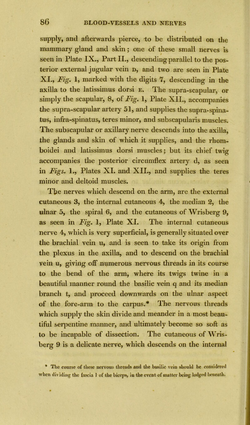 8G supply, an(l afterwards pierce, to be distributed on the mammary gland and skin; one of these small nerves is seen in Plate IX., Part II., descending parallel to the pos- terior external jugular vein d, and two are seen in Plate XI., Fig. 1, marked with the digits 7, descending in the axilla to the latissimus dorsi e. The supra-scapular, or simply the scapular, 8, of Fig. 1, Plate XII., accompanies the supra-scapular artery 51, and supplies the supra-spina- tus, infra-spinatus, teres minor, and subscapularis muscles. The subscapular or axillary nerve descends into the axilla, the glands and skin of which it supplies, and the rhom- boidei and latissimus dorsi muscles; but its chief twin accompanies the posterior circumflex artery d, as seen in Figs. 1., Plates XI. and XII., and supplies the teres minor and deltoid muscles. Tfie nerves which descend on the arm, are the external cutaneous 3, the internal cutaneous 4, the median 2, the ulnar 5, the spiral 6, and the cutaneous of Wrisberg 9, as seen in Fig. 1, Plate XI. The internal cutaneous nerve 4, which is very superficial, is generally situated over the brachial vein u, and is seen to take its origin from the plexus in the axilla, and to descend on the brachial vein u, giving off numerous nervous threads in its course to the bend of the arm, where its twigs twine in a beautiful manner round the basilic vein q and its median branch t, and proceed downwards on the ulnar aspect of the fore-arm to the carpus.* The nervous threads which supply the skin divide and meander in a most beau- tiful serpentine manner, and ultimately become so soft as to be incapable of dissection. The cutaneous of Wris- berg 9 is a delicate nerve, which descends on the internal * The course of these nervous threads and the basilic vein should he considered when dividing the fascia 1 of the biceps, in the event of matter being lodged beneath.