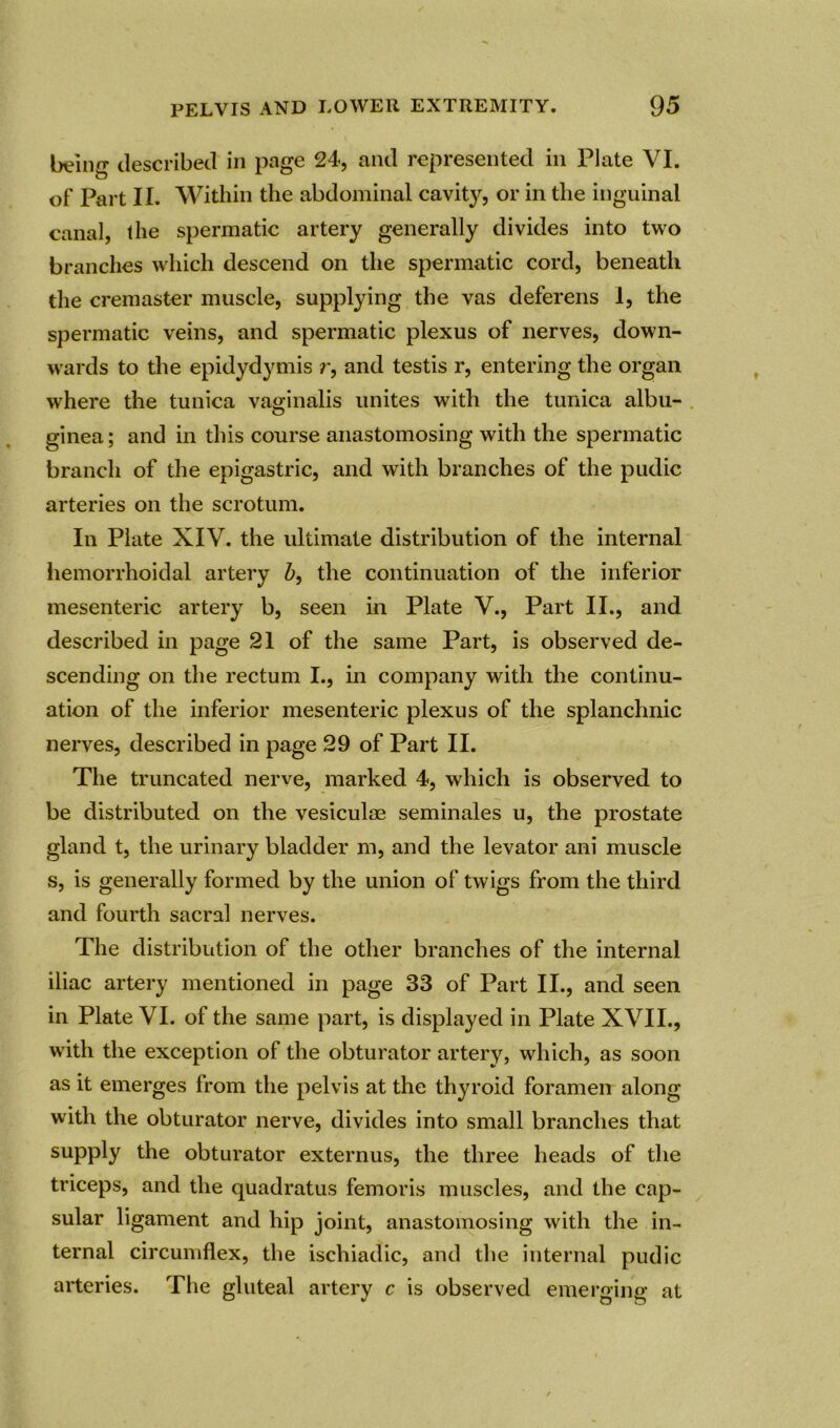 being described in page 24, and represented in Plate VI. of Part II. Within the abdominal cavity, or in the inguinal canal, the spermatic artery generally divides into two branches which descend on the spermatic cord, beneath the cremaster muscle, supplying the vas deferens I, the spermatic veins, and spermatic plexus of nerves, down- wards to the epidydymis r, and testis r, entering the organ where the tunica vaginalis unites with the tunica albu- ginea; and in this course anastomosing with the spermatic branch of the epigastric, and with branches of the pudic arteries on the scrotum. In Plate XIV. the ultimate distribution of the internal hemorrhoidal artery b, the continuation of the inferior mesenteric artery b, seen in Plate V., Part II., and described in page 21 of the same Part, is observed de- scending on the rectum I., in company with the continu- ation of the inferior mesenteric plexus of the splanchnic nerves, described in page 29 of Part II. The truncated nerve, marked 4, which is observed to be distributed on the vesiculae seminales u, the prostate gland t, the urinary bladder m, and the levator ani muscle s, is generally formed by the union of twigs from the third and fourth sacral nerves. The distribution of the other branches of the internal iliac artery mentioned in page 33 of Part II., and seen in Plate VI. of the same part, is displayed in Plate XVII., with the exception of the obturator artery, which, as soon as it emerges from the pelvis at the thyroid foramen along with the obturator nerve, divides into small branches that supply the obturator externus, the three heads of the triceps, and the quadratus femoris muscles, and the cap- sular ligament and hip joint, anastomosing with the in- ternal circumflex, the ischiadic, and the internal pudic arteries. The gluteal artery c is observed emerging at