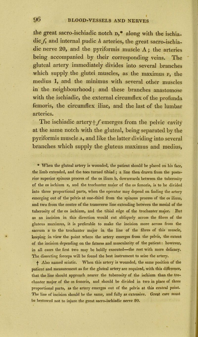 the great sacro-ischiadic notch d,* along with the ischia- dicf, and internal pudic h arteries, the great sacro-ischia- dic nerve 20, and the pyriformis muscle A; the arteries being accompanied by their corresponding veins. The gluteal artery immediately divides into several branches which supply the glutei muscles, as the maximus f, the medius I, and the minimus with several other muscles in the neighbourhood; and these branches anastomose with the ischiadic, the external circumflex of the profunda femoris, the circumflex iliac, and the last of the lumbar arteries. The ischiadic artery f f emerges from the pelvic cavity at the same notch with the gluteal, being separated by the pyriformis muscle a, and like the latter dividing into several branches which supply the gluteus maximus and medius, * When the gluteal artery is wounded, the patient should be placed on his face, the limb extended, and the toes turned tibiad ; a line then drawn from the poste- rior superior spinous process of the os ilium b, downwards between the tuberosity of the os ischium z, and the trochanter maior of the os femoris, is to be divided into three proportional parts, when the operator may depend on finding the artery emerging out of the pelvis at one-third from the spinous process of the os ilium, and two from the centre of the transverse line extending between the mesial of the tuberosity of the os ischium, and the tibial edge of the trochanter major. But as an incision in this direction would cut obliquely across the fibres of the gluteus maximus, it is preferable to make the incision more across from tbe sacrum b to the trochanter major in the line of the fibres of this muscle, keeping in view the point where the artery emerges from the pelvis, the extent of the incision depending on the fatness and muscularity of the patient: however, in all cases the first two may be boldly executed—the rest with more delicacy. The dissecting forceps will be found tbe best instrument to seize the artery. Also named sciatic. When this artery is wounded, the same position of the patient and measurement as for the gluteal artery are required, with this difference, that the line should approach nearer the tuberosity of the ischium than the tro- chanter major of the os femoris, and should be divided in two in place of three proportional parts, as the artery emerges out of the pelvis at this central point. The line of incision should be the same, and fully as extensive. Great care must be bestowed not to injure the great sacro-ischiadic nerve 20.