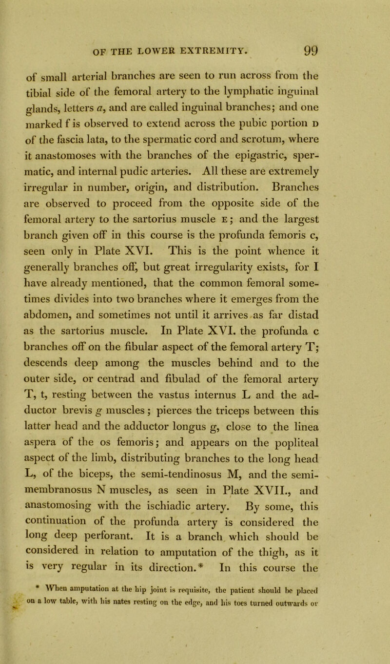 of small arterial branches are seen to run across from the tibial side of the femoral artery to the lymphatic inguinal glands, letters and are called inguinal branches; and one marked f is observed to extend across the pubic portion d of the fascia lata, to the spermatic cord and scrotum, where it anastomoses with the branches of the epigastric, sper- matic, and internal pudic arteries. All these are extremely irregular in number, origin, and distribution. Branches are observed to proceed from the opposite side of the femoral artery to the sartorius muscle e ; and the largest branch given off in this course is the profunda femoris c, seen only in Plate XVI. This is the point whence it generally branches off’, but great irregularity exists, for I have already mentioned, that the common femoral some- times divides into two branches where it emerges from the abdomen, and sometimes not until it arrives as far distad as the sartorius muscle. In Plate XVI. the profunda c branches off on the fibular aspect of the femoral artery T; descends deep among the muscles behind and to the outer side, or centrad and fibulad of the femoral artery T, t, resting between the vastus internus L and the ad- ductor brevis g muscles ; pierces the triceps between this latter head and the adductor longus g, close to the linea aspera of the os femoris; and appears on the popliteal aspect of the limb, distributing branches to the long head L, of the biceps, the semi-tendinosus M, and the semi- membranosus N muscles, as seen in Plate XVII., and anastomosing with the ischiadic artery. By some, this continuation of the profunda artery is considered the long deep perforant. It is a branch which should be considered in relation to amputation of the thigh, as it is very regular in its direction.* In this course the * When amputation at the hip joint is requisite, the patient should be placed ^ on a low table, with his nates resting on the edge, and his toes turned outwards or