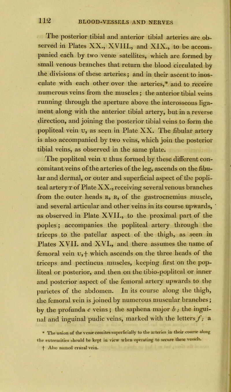 The posterior tibial and anterior tibial arteries are ob- served in Plates XX., XVIII., and XIX., to be accom- panied each by two venas satellites, which are formed by small venous branches that return the blood circulated by the divisions of these arteries; and in their ascent to inos- culate with each other over the arteries,* and to receive numerous veins from the muscles; the anterior tibial veins running through the aperture above the interosseous liga- ment along with the anterior tibial artery, but in a reverse direction, and joining the posterior tibial veins to form the popliteal vein u, as seen in Plate XX. The fibular artery is also accompanied by two veins, which join the posterior tibial veins, as observed in the same plate. The popliteal vein u thus formed by these different con- comitant veins of the arteries of the leg, ascends on the fibu- lar and dermal, or outer and superficial aspect of the popli- teal artery t of Plate XX., receiving several venous branches from the outer heads r, r, of the gastrocnemius muscle, and several articular and other veins in its course upwards, as observed in Plate XVII., to the proximal part of the poples; accompanies the popliteal artery through the triceps to the patellar aspect of the thigh, as 3een in Plates XVII. and XVI., and there assumes the name of femoral vein u,f which ascends on the three heads of the triceps and pectineus muscles, keeping first on the pop- liteal or posterior, and then on the tibio-popliteal or inner and posterior aspect of the femoral artery upwards to the parietes of the abdomen. In its course along the thigh, the femoral vein is joined by numerous muscular branches; by the profunda c veins ; the saphena major b; the ingui- nal and inguinal pudic veins, marked with the letters f s a * The union of the vense comites superficially to the arteries in their course along the extremities should he kept in view when operating to secure these vessels. f Also named crural vein.
