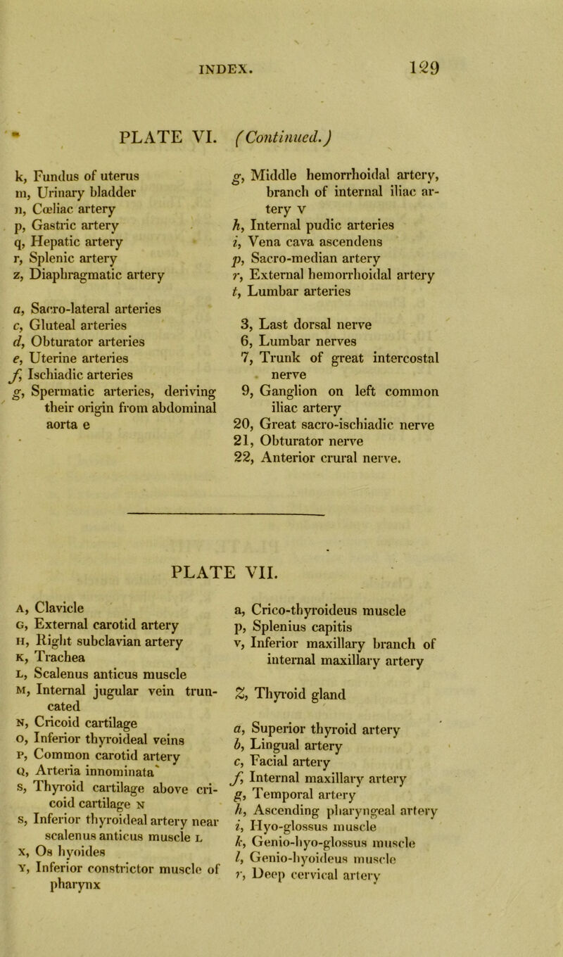 PLATE VI. (Continued.) k, Fundus of uterus m, Urinary bladder n, Coeliac artery p, Gastric artery q, Hepatic artery r, Splenic artery z, Diaphragmatic artery a, Sacro-lateral arteries c, Gluteal arteries d, Obturator arteries e, Uterine arteries f Ischiadic arteries g, Spermatic arteries, deriving their origin from abdominal aorta e o-, Middle hemorrhoidal artery, branch of internal iliac ar- tery v h, Internal pudic arteries it Vena cava ascendens p, Sacro-median artery r, External hemorrhoidal artery ty Lumbar arteries 3, Last dorsal nerve 6, Lumbar nerves 7, Trunk of great intercostal nerve 9, Ganglion on left common iliac artery 20, Great sacro-ischiadic nerve 21, Obturator nerve 22, Anterior crural nerve. PLATE VII. a, Clavicle g, External carotid artery h, Right subclavian artery k, Trachea l, Scalenus anticus muscle m, Internal jugular vein trun- cated n, Cricoid cartilage o, Inferior thyroideal veins p, Common carotid artery Q, Arteiia innominata s, 1 hyroid cartilage above cri- coid cartilage n s, Inferior thyroideal artery near scalenus anticus muscle l x, Os hyoides y, Inferior constrictor muscle of pharynx a, Crico-thyroideus muscle р, Splenius capitis v, Inferior maxillary branch of internal maxillary artery Z, Thyroid gland a, Superior thyroid artery b, Lingual artery с, Facial artery J> Internal maxillary artery g, Temporal artery hf Ascending pharyngeal artery if Hyo-glossus muscle kf Genio-hyo-glossus muscle /, Genio-hyoideus muscle r, Deep cervical artery