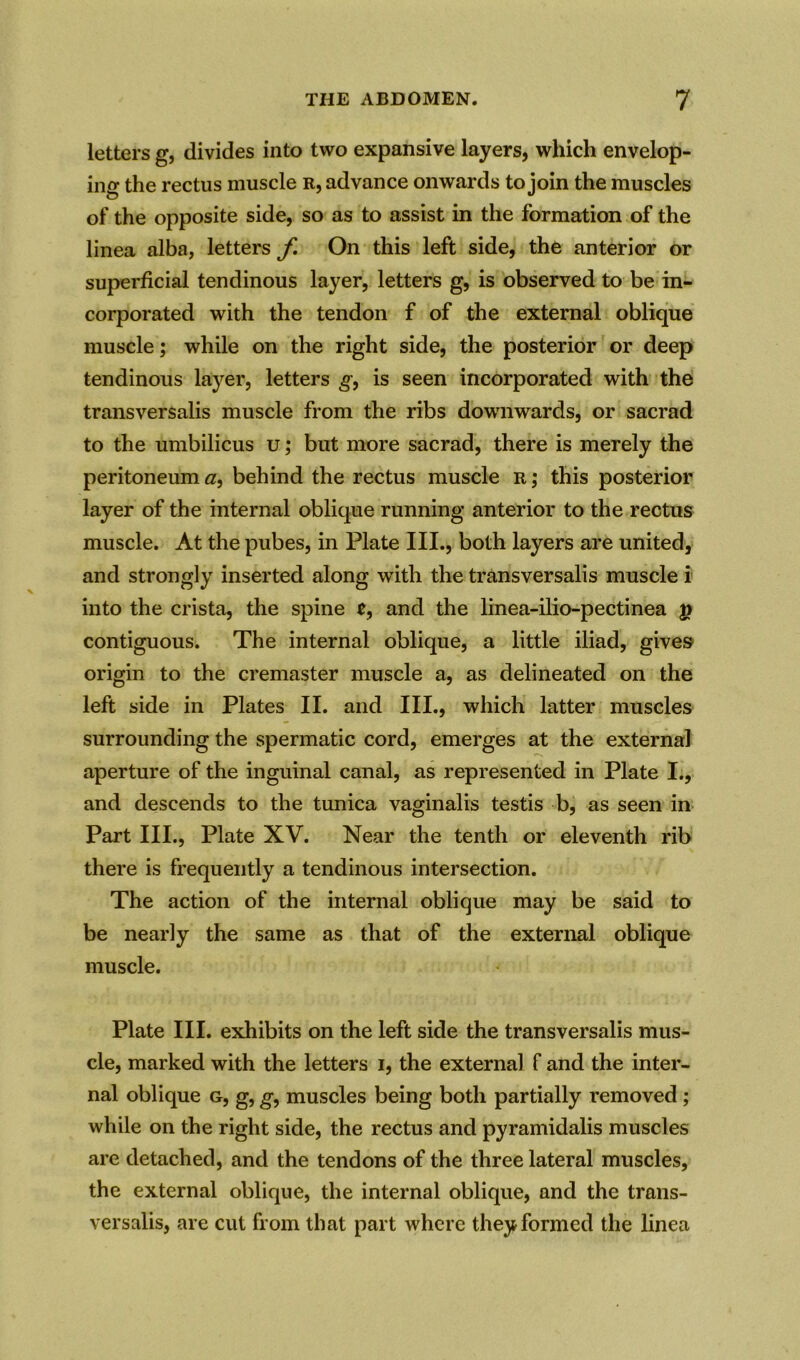 letters g, divides into two expansive layers, which envelop- ing the rectus muscle r, advance onwards to join the muscles of the opposite side, so as to assist in the formation of the linea alba, letters f. On this left side, the anterior or superficial tendinous layer, letters g, is observed to be in- corporated with the tendon f of the external oblique muscle; while on the right side, the posterior or deep tendinous layer, letters g, is seen incorporated with the transversalis muscle from the ribs downwards, or sacrad to the umbilicus u; but more sacrad, there is merely the peritoneum a, behind the rectus muscle r; this posterior layer of the internal oblique running anterior to the rectus muscle. At the pubes, in Plate III., both layers are united, and strongly inserted along with the transversalis muscle i into the crista, the spine e, and the linea-ilio-pectinea £ contiguous. The internal oblique, a little iliad, gives origin to the cremaster muscle a, as delineated on the left side in Plates II. and III., which latter muscles surrounding the spermatic cord, emerges at the external aperture of the inguinal canal, as represented in Plate I., and descends to the tunica vaginalis testis b, as seen in Part III., Plate XV. Near the tenth or eleventh rib there is frequently a tendinous intersection. The action of the internal oblique may be said to be nearly the same as that of the external oblique muscle. Plate III. exhibits on the left side the transversalis mus- cle, marked with the letters i, the external f and the inter- nal oblique g, g, g, muscles being both partially removed ; while on the right side, the rectus and pyramidalis muscles are detached, and the tendons of the three lateral muscles, the external oblique, the internal oblique, and the trans- versalis, are cut from that part where they formed the linea