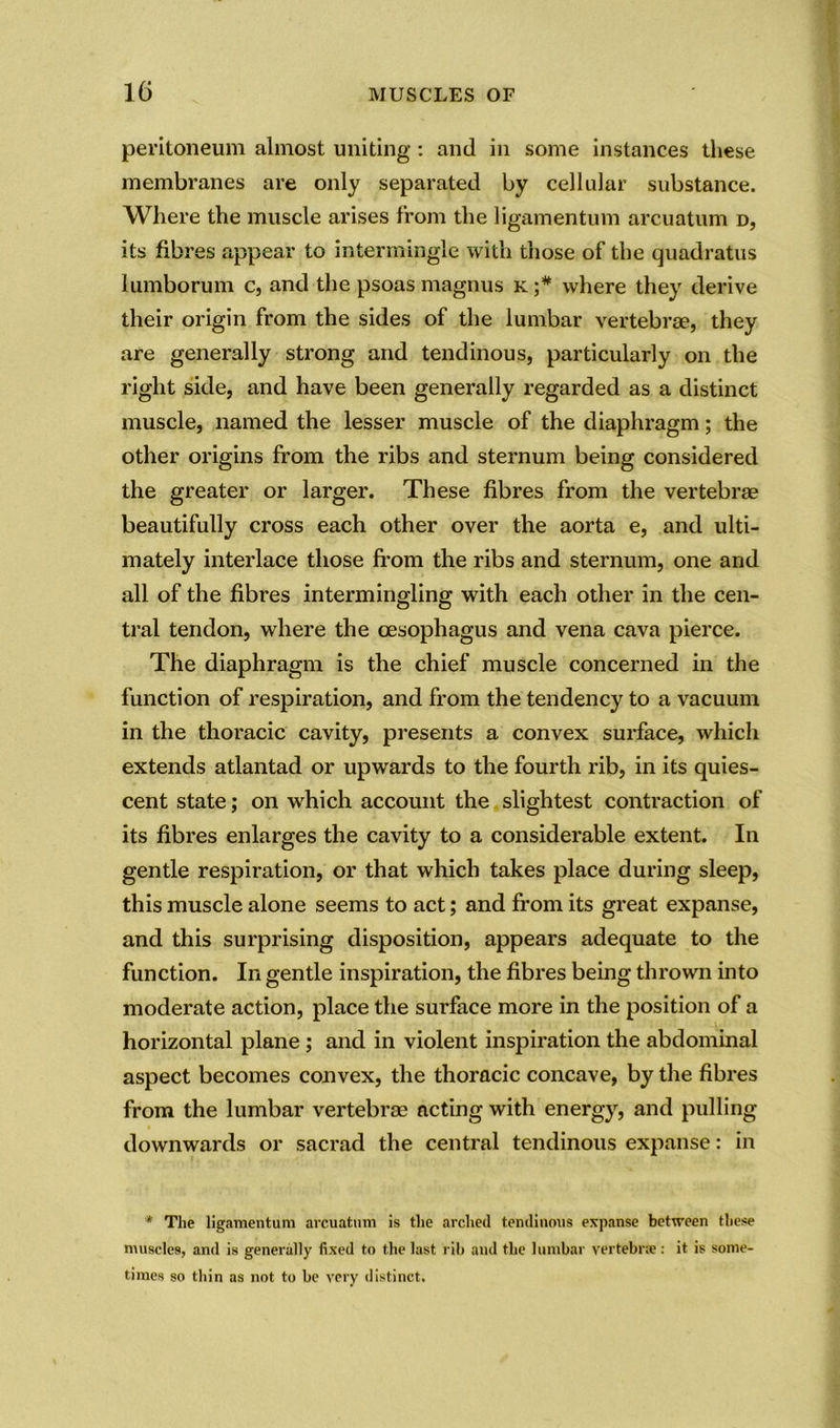 peritoneum almost uniting : and in some instances these membranes are only separated by cellular substance. Where the muscle arises from the ligamentum arcuatum d, its fibres appear to intermingle with those of the quadratus lumborum c, and the psoas magnus k ;* where they derive their origin from the sides of the lumbar vertebrae, they are generally strong and tendinous, particularly on the right side, and have been generally regarded as a distinct muscle, named the lesser muscle of the diaphragm; the other origins from the ribs and sternum being considered the greater or larger. These fibres from the vertebrae beautifully cross each other over the aorta e, and ulti- mately interlace those from the ribs and sternum, one and all of the fibres intermingling with each other in the cen- tral tendon, where the oesophagus and vena cava pierce. The diaphragm is the chief muscle concerned in the function of respiration, and from the tendency to a vacuum in the thoracic cavity, presents a convex surface, which extends atlantad or upwards to the fourth rib, in its quies- cent state; on which account the slightest contraction of its fibres enlarges the cavity to a considerable extent. In gentle respiration, or that which takes place during sleep, this muscle alone seems to act; and from its great expanse, and this surprising disposition, appears adequate to the function. In gentle inspiration, the fibres being thrown into moderate action, place the surface more in the position of a horizontal plane ; and in violent inspiration the abdominal aspect becomes convex, the thoracic concave, by the fibres from the lumbar vertebrae acting with energy, and pulling downwards or sacrad the central tendinous expanse: in * The ligamentum arcuatum is the arched tendinous expanse between these muscles, and is generally fixed to the last rib and the lumbar vertebrae: it is some- times so thin as not to be very distinct.