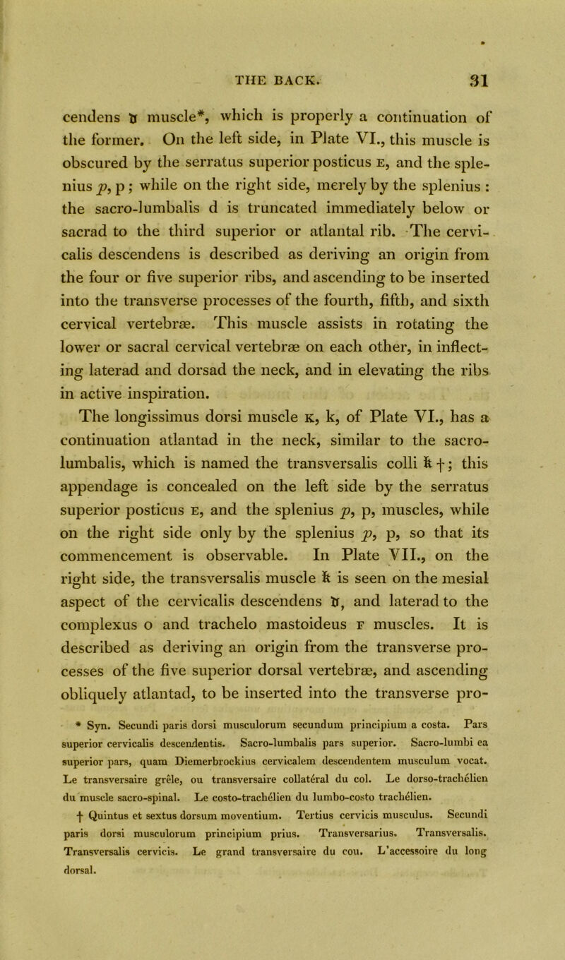 cendens tr muscle*, which is properly a continuation of the former. On the left side, in Plate VI., this muscle is obscured by the serratus superior posticus e, and the sple- nius p, p; while on the right side, merely by the splenius : the sacro-lumbalis d is truncated immediately below or sacrad to the third superior or atlantal rib. The cervi- calis descendens is described as deriving an origin from the four or five superior ribs, and ascending to be inserted into the transverse processes of the fourth, fifth, and sixth cervical vertebrae. This muscle assists in rotating the lower or sacral cervical vertebrae on each other, in inflect- ing laterad and dorsad the neck, and in elevating the ribs in active inspiration. The longissimus dorsi muscle k, k, of Plate VI., has a continuation atlantad in the neck, similar to the sacro- lumbalis, which is named the transversalis colli & f; this appendage is concealed on the left side by the serratus superior posticus e, and the splenius p, p, muscles, while on the right side only by the splenius y?, p, so that its commencement is observable. In Plate VII., on the right side, the transversalis muscle fe is seen on the mesial aspect of the cervicalis descendens tr, and laterad to the complexus o and trachelo mastoideus f muscles. It is described as deriving an origin from the transverse pro- cesses of the five superior dorsal vertebrae, and ascending obliquely atlantad, to be inserted into the transverse pro- * Syn. Secundi paris dorsi musculorum secundum principium a costa. Pars superior cervicalis descendentis. Sacro-lumbalis pars superior. Sacro-lumbi ea superior pars, quam Diemerbrockius cervicalem descendentem musculum vocat. Le transversaire grele, ou transversaire collateral du col. Le dorso-trachelien du muscle sacro-spinal. Le costo-trachelien du lumbo-costo traeb&ien. •j- Quintus et sextus dorsum moventium. Tertius cervicis musculus. Secundi paris dorsi musculorum principium prius. Transversarius. Transversalis. Transversalis cervicis. Le grand transversaire du cou. L’accessoire du long dorsal.