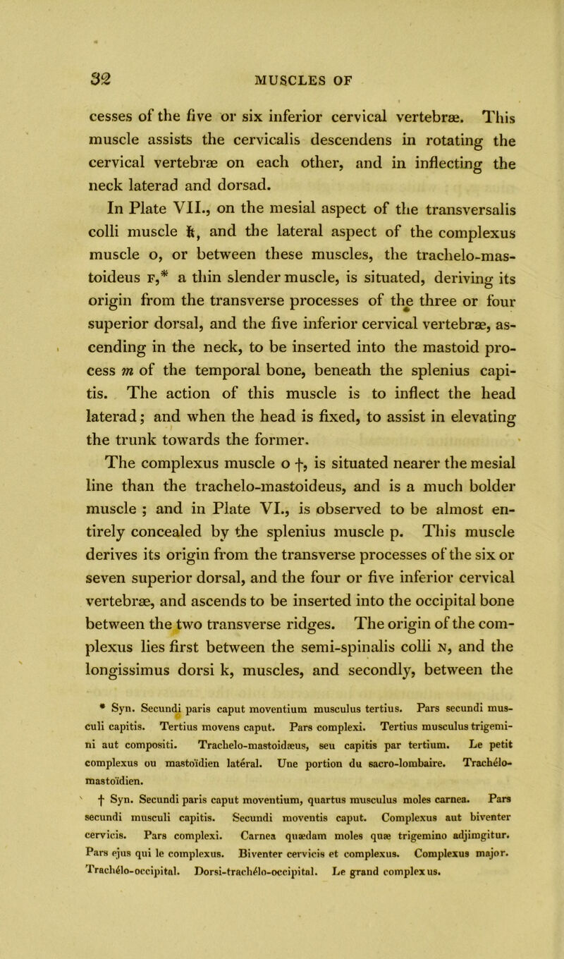 cesses of the five or six inferior cervical vertebrae. This muscle assists the cervicalis descendens in rotating the cervical vertebrae on each other, and in inflecting the neck laterad and dorsad. In Plate VII., on the mesial aspect of the transversalis colli muscle fc, and the lateral aspect of the complexus muscle o, or between these muscles, the trachelo-mas- toideus f,* a thin slender muscle, is situated, deriving its origin from the transverse processes of the three or four superior dorsal, and the five inferior cervical vertebrae, as- cending in the neck, to be inserted into the mastoid pro- cess m of the temporal bone, beneath the splenius capi- tis. The action of this muscle is to inflect the head laterad; and when the head is fixed, to assist in elevating the trunk towards the former. The complexus muscle o f, is situated nearer the mesial line than the trachelo-mastoideus, and is a much bolder muscle ; and in Plate VI., is observed to be almost en- tirely concealed by the splenius muscle p. This muscle derives its origin from the transverse processes of the six or seven superior dorsal, and the four or five inferior cervical vertebrae, and ascends to be inserted into the occipital bone between the two transverse ridges. The origin of the com- plexus lies first between the semi-spinalis colli n, and the longissimus dorsi k, muscles, and secondly, between the * Syn. Secundi paris caput moventium musculus tertius. Pars secundi mus- culi capitis. Tertius movens caput. Pars complexi. Tertius musculus trigemi- ni aut compositi. Tracbelo-mastoidseus, seu capitis par tertium. Le petit complexus ou masto'idien lateral. Une portion du 6acro-lombaire. Trachelo- masto'idien. ' •}- Syn. Secundi paris caput moventium, quartus musculus moles carnea. Pars secundi musculi capitis. Secundi moventis caput. Complexus aut biventer cervicis. Pars complexi. Carnea quaedam moles quae trigemino adjimgitur. Pars ejus qui le complexus. Biventer cervicis et complexus. Complexus major. Tracb^lo-occipital. Dorsi-tracb^lo-occipitnl. Le grand complexus.