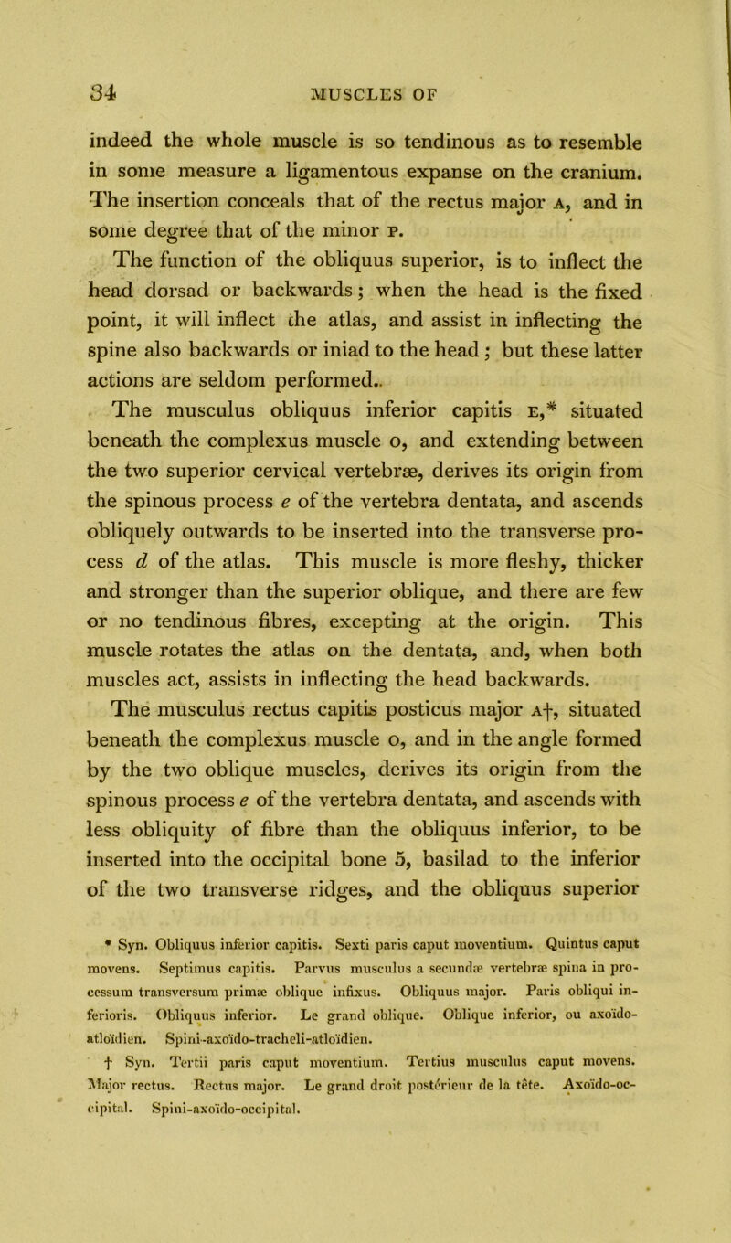 indeed the whole muscle is so tendinous as to resemble in some measure a ligamentous expanse on the cranium. The insertion conceals that of the rectus maior a, and in some degree that of the minor p. The function of the obliquus superior, is to inflect the head dorsad or backwards; when the head is the fixed point, it will inflect die atlas, and assist in inflecting the spine also backwards or iniad to the head ; but these latter actions are seldom performed.. The musculus obliquus inferior capitis e,* situated beneath the complexus muscle o, and extending between the two superior cervical vertebrae, derives its origin from the spinous process e of the vertebra dentata, and ascends obliquely outwards to be inserted into the transverse pro- cess d of the atlas. This muscle is more fleshy, thicker and stronger than the superior oblique, and there are few or no tendinous fibres, excepting at the origin. This muscle rotates the atlas on the dentata, and, when both muscles act, assists in inflecting the head backwards. The musculus rectus capitis posticus major Af, situated beneath the complexus muscle o, and in the angle formed by the two oblique muscles, derives its origin from the spinous process e of the vertebra dentata, and ascends with less obliquity of fibre than the obliquus inferior, to be inserted into the occipital bone 5, basilad to the inferior of the two transverse ridges, and the obliquus superior * Syn. Obliquus inferior capitis. Sexti paris caput moventium. Quintus caput raovens. Septimus capitis. Parvus musculus a secundte vertebrae spina in pro- cessum transversum primae oblique infixus. Obliquus major. Paris obliqui in- ferioris. Obliquus inferior. Le grand oblique. Oblique inferior, ou axo'ido- atlo'iii ien. Spini-axo'ido-tracheli-atloidien. f Syn. Tertii paris caput moventium. Tertius musculus caput movens. Major rectus. Rectus major. Le grand droit posterieur de la tete. Axoido-oc- cipi tal. Spi n i-axoido-occip i tal.