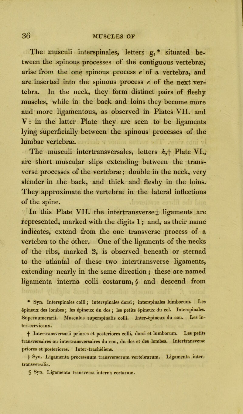 The musculi interspinales, letters g, * * * § situated be- tween the spinous processes of the contiguous vertebrae, arise from the one spinous process e of a vertebra, and are inserted into the spinous process e of the next ver- tebra. In the neck, they form distinct pairs of fleshy muscles, while in the back and loins they become more and more ligamentous, as observed in Plates VII. and V: in the latter Plate they are seen to be ligaments lying superficially between the spinous processes of the lumbar vertebrae. The musculi intertransversales, letters Ji,f Plate VI., are short muscular slips extending between the trans- verse processes of the vertebrae; double in the neck, very slender in the back, and thick and fleshy in the loins. They approximate the vertebrae in the lateral inflections of the spine. In this Plate VII. the intertransverse:); ligaments are represented, marked with the digits 1; and, as their name indicates, extend from the one transverse process of a vertebra to the other. One of the ligaments of the necks of the ribs, marked 2, is observed beneath or sternad to the atlantal of these two intertransverse ligaments, extending nearly in the same direction; these are named ligamenta interna colli costarum, § and descend from • Syn. Interspinales colli; interspinales dorsi; interspinales lumborum. Les epineux des lombes; les Epineux du dos ; les petits epineux du col. Interspinales. Supernumerarii. Musculus superspinalis colli. Inter-epineux du cou. Le9 in- ter-cervicaux. f Intertransversarii priores et posteriores colli, dorsi et lumborum. Les petits transversaires ou intertransversaires du cou, du dos et des lombes. Intertransverse priores et posteriores. Inter-tracheliens. t Syn. Ligamenta processuum transversnrum vertebrarum. Ligamenta inter- tran9versalia. § Syn. Ligamenta transversn interna costarum.