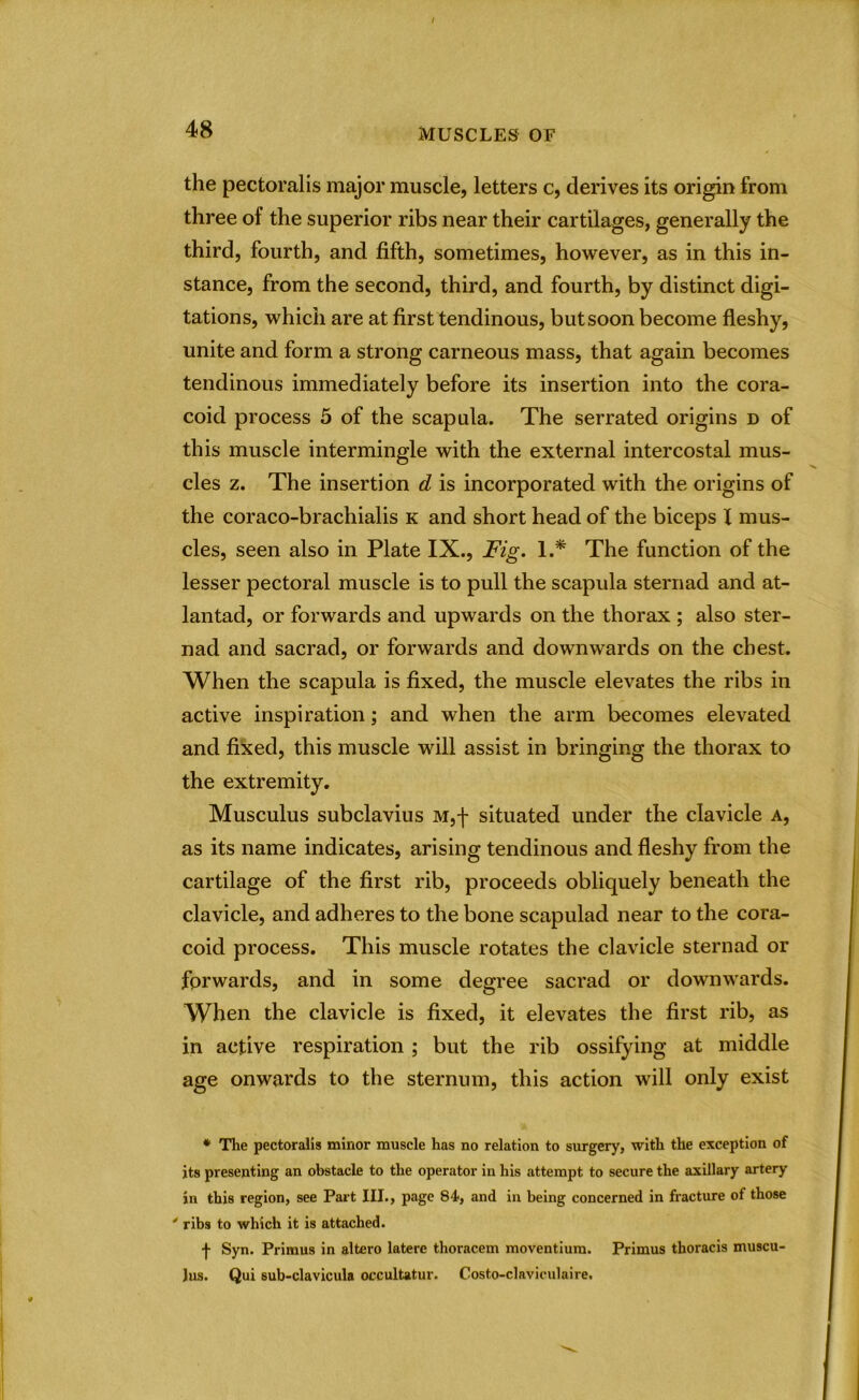 the pectoralis major muscle, letters c, derives its origin from three of the superior ribs near their cartilages, generally the third, fourth, and fifth, sometimes, however, as in this in- stance, from the second, third, and fourth, by distinct digi- tations, which are at first tendinous, but soon become fleshy, unite and form a strong carneous mass, that again becomes tendinous immediately before its insertion into the cora- coid process 5 of the scapula. The serrated origins d of this muscle intermingle with the external intercostal mus- cles z. The insertion d. is incorporated with the origins of the coraco-brachialis k and short head of the biceps X mus- cles, seen also in Plate IX., Fig. 1.* The function of the lesser pectoral muscle is to pull the scapula sternad and at- lantad, or forwards and upwards on the thorax ; also ster- nad and sacrad, or forwards and downwards on the chest. When the scapula is fixed, the muscle elevates the ribs in active inspiration; and when the arm becomes elevated and fixed, this muscle will assist in bringing the thorax to the extremity. Musculus subclavius M,f situated under the clavicle a, as its name indicates, arising tendinous and fleshy from the cartilage of the first rib, proceeds obliquely beneath the clavicle, and adheres to the bone scapulad near to the cora- coid process. This muscle rotates the clavicle sternad or forwards, and in some degree sacrad or downwards. When the clavicle is fixed, it elevates the first rib, as in active respiration ; but the rib ossifying at middle age onwards to the sternum, this action will only exist * The pectoralis minor muscle has no relation to surgery, with the exception of its presenting an obstacle to the operator iu his attempt to secure the axillary artery in this region, see Part III., page 84, and in being concerned in fracture of those ' ribs to which it is attached. f Syn. Primus in altero latere thoracem moventium. Primus thoracis muscu- lus. Qui sub-clavicula occultatur. Costo-claviculaire.