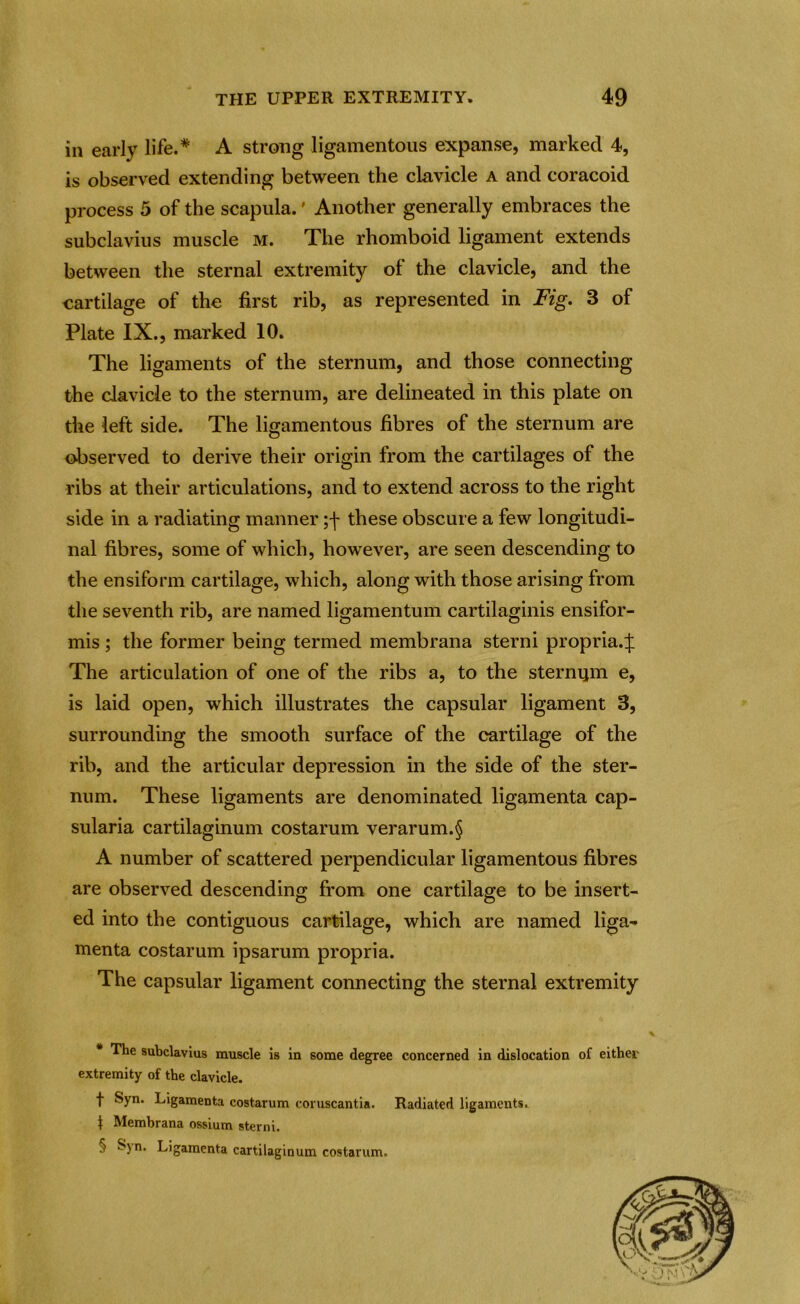 in early life.* A strong ligamentous expanse, marked 4, is observed extending between the clavicle a and coracoid process 5 of the scapula.' Another generally embraces the subclavius muscle m. The rhomboid ligament extends between the sternal extremity of the clavicle, and the cartilage of the first rib, as represented in Fig. 3 of Plate IX., marked 10. The ligaments of the sternum, and those connecting the clavicle to the sternum, are delineated in this plate on the left side. The ligamentous fibres of the sternum are observed to derive their origin from the cartilages of the ribs at their articulations, and to extend across to the right side in a radiating manner ;f these obscure a few longitudi- nal fibres, some of which, however, are seen descending to the ensiform cartilage, which, along with those arising from the seventh rib, are named ligamentum cartilaginis ensifor- mis; the former being termed membrana sterni propria.;]: The articulation of one of the ribs a, to the sternum e, is laid open, which illustrates the capsular ligament 3, surrounding the smooth surface of the cartilage of the rib, and the articular depression in the side of the ster- num. These ligaments are denominated ligamenta cap- sularia cartilaginum costarum verarum.§ A number of scattered perpendicular ligamentous fibres are observed descending from one cartilage to be insert- ed into the contiguous cartilage, which are named liga- menta costarum ipsarum propria. The capsular ligament connecting the sternal extremity The subclavius muscle is in some degree concerned in dislocation of either extremity of the clavicle. t Syn. Ligamenta costarum coruscantia. Radiated ligaments. | Membrana ossium sterni. 5 %n. Ligamenta cartilaginum costarum.