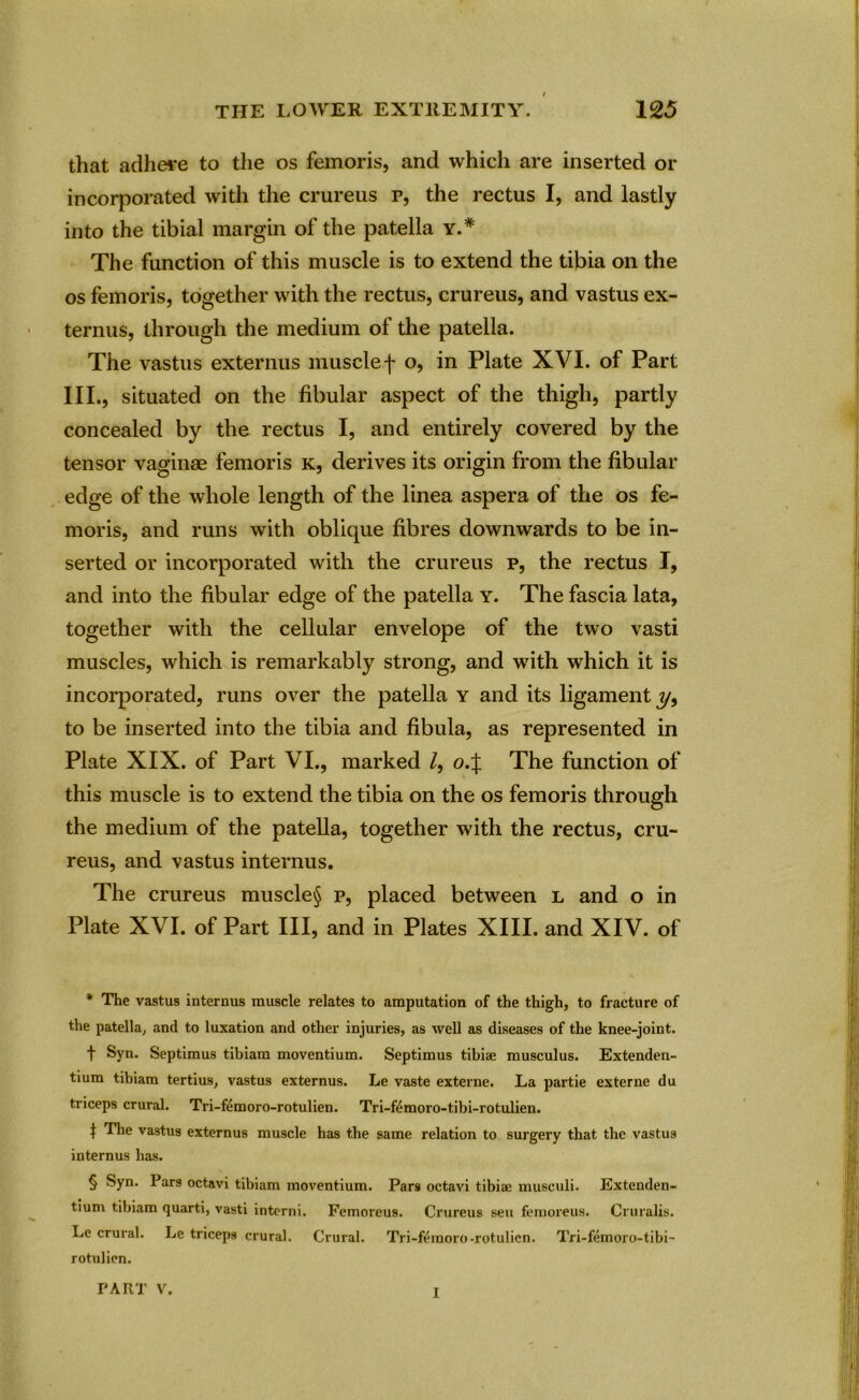that adhere to the os femoris, and which are inserted or incorporated with the crureus p, the rectus I, and lastly into the tibial margin of the patella y.# The function of this muscle is to extend the tibia on the os femoris, together with the rectus, crureus, and vastus ex- ternus, through the medium of the patella. The vastus externus muscle f o, in Plate XVI. of Part III., situated on the fibular aspect of the thigh, partly concealed by the rectus I, and entirely covered by the tensor vaginae femoris k, derives its origin from the fibular edge of the whole length of the linea aspera of the os fe- moris, and runs with oblique fibres downwards to be in- serted or incorporated with the crureus p, the rectus I, and into the fibular edge of the patella y. The fascia lata, together with the cellular envelope of the two vasti muscles, which is remarkably strong, and with which it is incorporated, runs over the patella y and its ligament 3/, to be inserted into the tibia and fibula, as represented in Plate XIX. of Part VI., marked /, o.% The function of this muscle is to extend the tibia on the os femoris through the medium of the patella, together with the rectus, cru- reus, and vastus internus. The crureus muscle§ p, placed between l and o in Plate XVI. of Part III, and in Plates XIII. and XIV. of * The vastus internus muscle relates to amputation of the thigh, to fracture of the patella, and to luxation and other injuries, as well as diseases of the knee-joint. t Syn. Septimus tibiam moventium. Septimus tibiae musculus. Extenden- tium tibiam tertius, vastus externus. Le vaste externe. La partie externe du triceps crural. Tri-femoro-rotulien. Tri-f&moro-tibi-rotulien. t * * * §^le vastus externus muscle has the same relation to surgery that the vastus internus has. § Syn. Pars octavi tibiam moventium. Pars octavi tibiae musculi. Extenden- tium tibiam quarti, vasti interni. Femoreu9. Crureus seu fernoreus. Cruralis. Lc crural. Le triceps crural. Crural. Tri-femoro-rotulien. Tri-femoro-tibi- rotulien. PART V. I