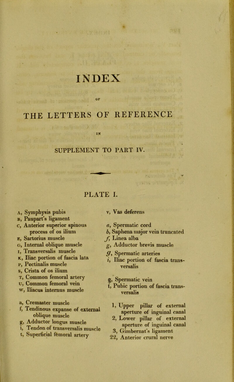 OF / THE LETTERS OF REFERENCE IK SUPPLEMENT TO PART IV. PLATE I. a, Symphysis pubis b, Paupart’s ligament c, Anterior superior spinous process of os ilium e, Sartorius muscle g, Internal oblique muscle i, Transversalis muscle k, Iliac portion of fascia lata p, Pectinalis muscle s, Crista of os ilium t, Common femoral artery u, Common femoral vein w, Iliacus intemus muscle a, Cremaster muscle f, Tendinous expanse of external oblique muscle g, Adductor longus muscle i, Tendon of transversalis muscle t, Superficial femoral artery v, Vas deferens a> Spermatic cord b, Saphena major vein truncated f, Linea alba g, Adductor brevis muscle £/y Spermatic arteries z, Iliac portioii of fascia trans- versalis 3, Spermatic vein t, Pubic portion of fascia trans- versalis 1, Upper pillar of external aperture of inguinal canal 2, Lower pillar of external aperture of inguinal canal 3, Gimbernat’s ligament 22, Anterior crural nerve