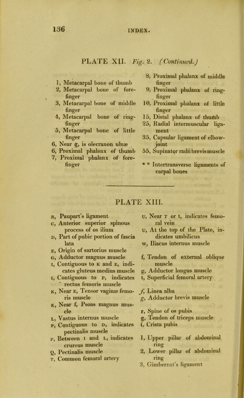 PLATE XII. Fi i ], Metacarpal bone of thumb 2, Metacarpal bone of fore- finger 3, Metacarpal bone of middle finger 4, Metacarpal bone of ring- finger 5, Metacarpal bone of little finger 6, Near 0, is olecranon ulnse 6, Proximal phalanx of thumb 7, Proximal phalanx of fore- finger 2. (Continued.) 8, Proximal phalanx of middle finger 9, Proximal phalanx of ring- finger 10, Proximal phalanx of little finger 15, Distal phalanx of thumb 25, Radial intermuscular liga- ment 35, Capsular ligament of elbow- joint 55, Supinatpr radii brevis muscle * * Intertransverse ligaments of carpal bones PLATE XIII. b, Paupart’s ligament c, Anterior superior spinous process of os ilium d, Part of pubic portion of fascia lata e, Origin of sartorius muscle G, Adductor magnus muscle I, Contiguous to k and e, indi- cates gluteus medius muscle i, Contiguous to p, indicates rectus fern oris muscle k, Near e, Tensor vaginae femo- ris muscle k, Near f, Psoas magnus mus- cle L, Vastus internus muscle p, Contiguous to d, indicates pectinalis muscle p, Between i and l, indicates crureus muscle £, Pectinalis muscle r, Common femoral artery u, Near t or t, indicates femo- ral vein u, At the top of the Plate, in- dicates umbilicus w, Iliacus internus muscle f, Tendon of external oblique muscle g, Adductor longus muscle t, Superficial femoral artery J,\ Linea alba o-, Adductor brevis muscle O 7 C, Spine of os pubis 0, Tendon of triceps muscle t, Crista pubis ], Upper pillar of abdominal ring 2, Lower pillar of abdominal ^ ring 3, Gimbernat’s ligament