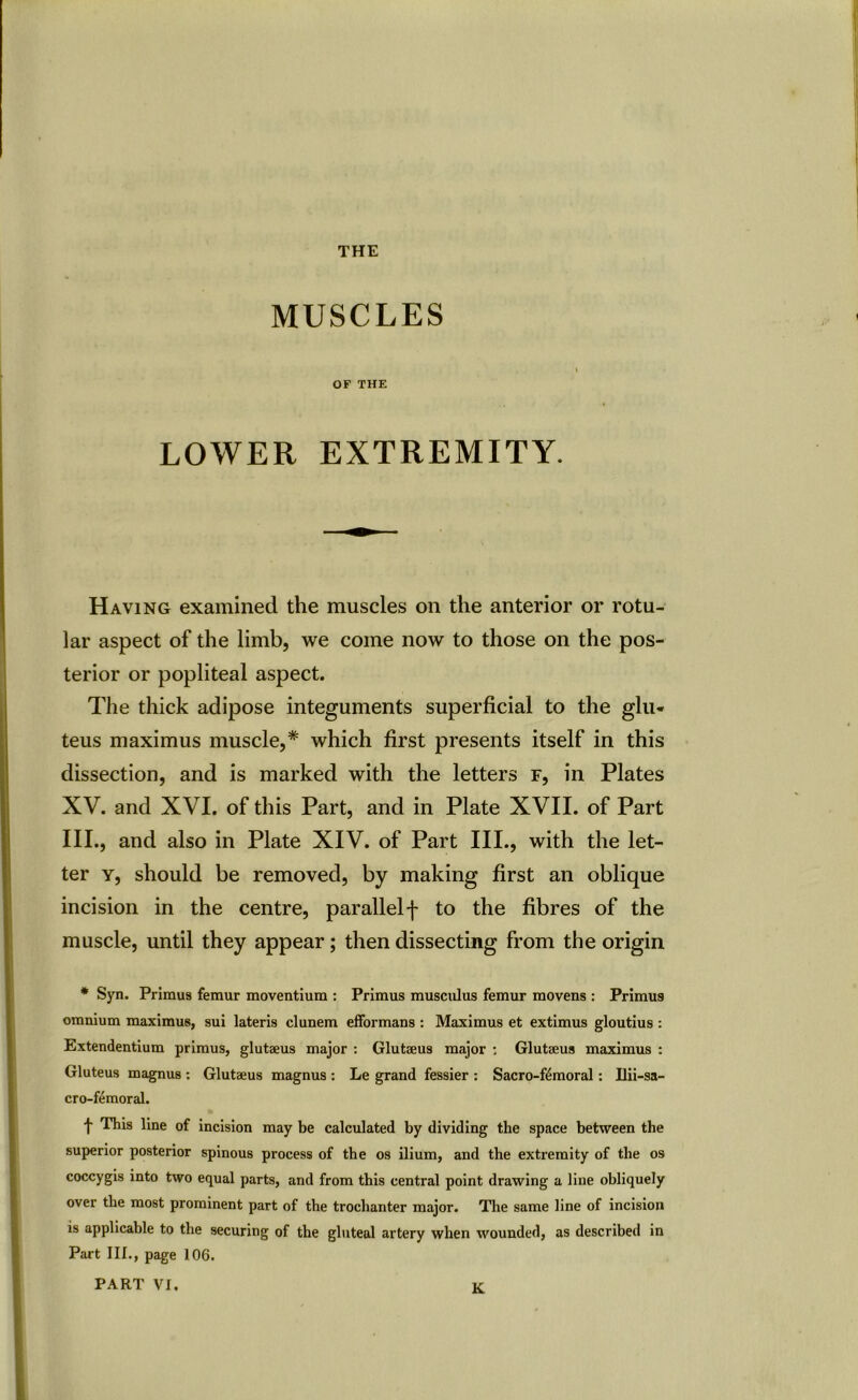 THE MUSCLES OF THE LOWER EXTREMITY. Having examined the muscles on the anterior or rotu- lar aspect of the limb, we come now to those on the pos- terior or popliteal aspect. The thick adipose integuments superficial to the glu- teus maximus muscle,* which first presents itself in this dissection, and is marked with the letters f, in Plates XV. and XVI. of this Part, and in Plate XVII. of Part III., and also in Plate XIV. of Part III., with the let- ter y, should be removed, by making first an oblique incision in the centre, parallel f to the fibres of the muscle, until they appear; then dissecting from the origin * Syn. Primus femur moventium : Primus musculus femur movens : Primus omnium maximus, sui lateris clunem efformans : Maximus et extimus gloutius : Extendentium primus, glutaeus major : Glutseus major : Glutseus maximus : Gluteus magnus : Glutseus magnus : Le grand fessier : Sacro-ftimoral: llii-sa- cro-femoral. t This line of incision may be calculated by dividing the space between the superior posterior spinous process of the os ilium, and the extremity of the os coccygis into two equal parts, and from this central point drawing a line obliquely over the most prominent part of the trochanter major. The same line of incision is applicable to the securing of the gluteal artery when wounded, as described in Part III., page 106.