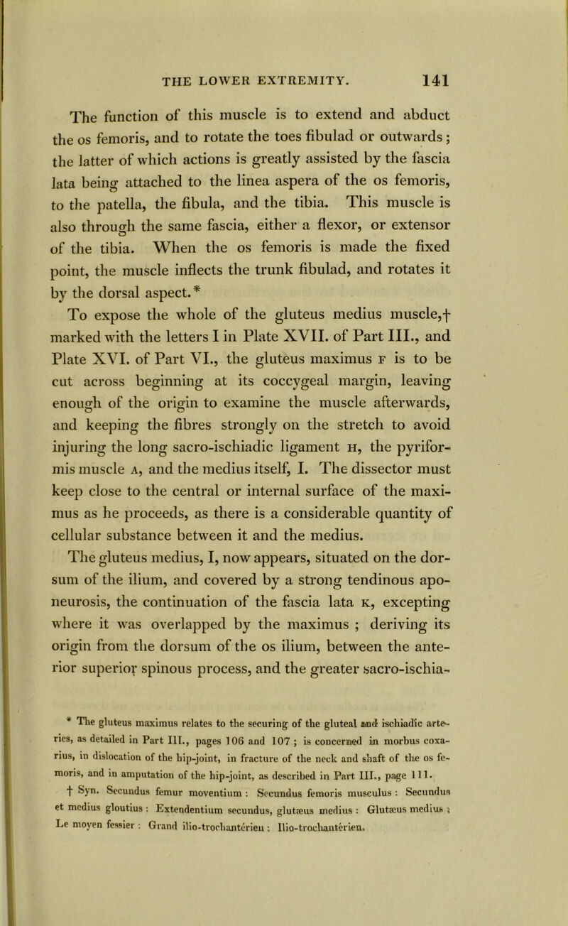The function of this muscle is to extend and abduct the os femoris, and to rotate the toes fibulad or outwards; the latter of which actions is greatly assisted by the fascia lata being attached to the linea aspera of the os femoris, to the patella, the fibula, and the tibia. This muscle is also through the same fascia, either a flexor, or extensor of the tibia. When the os femoris is made the fixed point, the muscle inflects the trunk fibulad, and rotates it by the dorsal aspect.* To expose the whole of the gluteus medius muscle,f marked with the letters I in Plate XVII. of Part III., and Plate XVI. of Part VI., the gluteus maximus f is to be cut across beginning at its coccygeal margin, leaving enough of the origin to examine the muscle afterwards, and keeping the fibres strongly on the stretch to avoid injuring the long sacro-ischiadic ligament h, the pyrifor- mis muscle a, and the medius itself, I. The dissector must keep close to the central or internal surface of the maxi- mus as he proceeds, as there is a considerable quantity of cellular substance between it and the medius. The gluteus medius, I, now appears, situated on the dor- sum of the ilium, and covered by a strong tendinous apo- neurosis, the continuation of the fascia lata k, excepting where it was overlapped by the maximus ; deriving its origin from the dorsum of the os ilium, between the ante- rior superior spinous process, and the greater sacro-ischia- * The gluteus maximus relates to the securing of the gluteal and ischiadic arte- ries, as detailed in Part III., pages 106 and 107 ; is concerned in morbus coxa- rius, in dislocation of the hip-joint, in fracture of the neck and shaft of the os fe- moris, and in amputation of the hip-joint, as described in Part III., page 111. t Syn. Secundus femur moventium : Secundus femoris musculus : Secundus et medius gloutius : Lxtendentium secundus, glutseus medius : Glutaeus medius } Le moyen fessier : Grand ilio-trochanterien : IIio-trochanterien.
