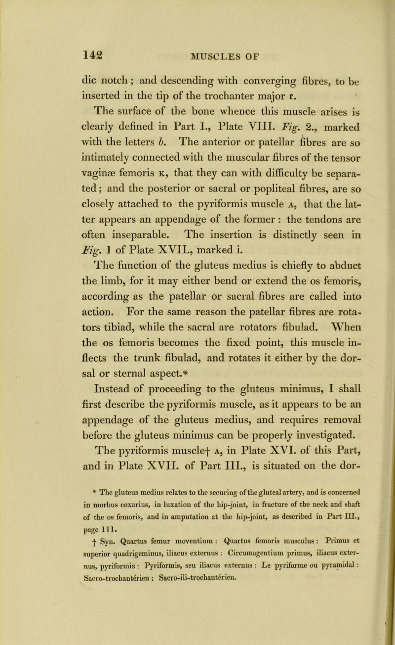 die notch; and descending with converging fibres, to be inserted in the tip of the trochanter major t. The surface of the bone whence this muscle arises is clearly defined in Part I., Plate VIII. Fig. 2., marked with the letters b. The anterior or patellar fibres are so intimately connected with the muscular fibres of the tensor vaginae femoris k, that they can with difficulty be separa- ted ; and the posterior or sacral or popliteal fibres, are so closely attached to the pyriformis muscle a, that the lat- ter appears an appendage of the former: the tendons are often inseparable. The insertion is distinctly seen in Fig. 1 of Plate XVII., marked i. The function of the gluteus medius is chiefly to abduct the limb, for it may either bend or extend the os femoris, according as the patellar or sacral fibres are called into action. For the same reason the patellar fibres are rota- tors tibiad, while the sacral are rotators fibulad. When the os femoris becomes the fixed point, this muscle in- flects the trunk fibulad, and rotates it either by the dor- sal or sternal aspect.* Instead of proceeding to the gluteus minimus, I shall first describe the pyriformis muscle, as it appears to be an appendage of the gluteus medius, and requires removal before the gluteus minimus can be properly investigated. The pyriformis musclef a, in Plate XVI. of this Part, and in Plate XVII. of Part III., is situated on the dor- * The gluteus medius relates to the securing of the gluteal artery, and is concerned in morbus coxarius, in luxation of the hip-joint, in fracture of the neck and shaft of the os femoris, and in amputation at the hip-joint, as described in Part III., page 111. ■J> Syn. Quartus femur moventiura : Quartus femoris musculus : Primus et superior quadrigeminus, iliacus externus : Circumagentium primus, iliacus exter- nus, pyriformis : Pyriformis, seu iliacus externus : Le pyriforme ou pyramidal: Sacro-trocbanfrrien: Sacro-ili-trochanterien.