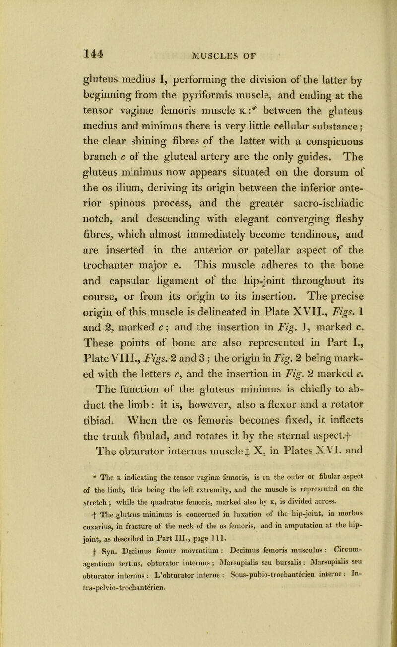 gluteus medius I, performing the division of the latter by beginning from the pyriformis muscle, and ending at the tensor vaginae femoris muscle k:# between the gluteus medius and minimus there is very little cellular substance; the clear shining fibres of the latter with a conspicuous branch c of the gluteal artery are the only guides. The gluteus minimus now appears situated on the dorsum of the os ilium, deriving its origin between the inferior ante- rior spinous process, and the greater sacro-ischiadic notch, and descending with elegant converging fleshy fibres, which almost immediately become tendinous, and are inserted in the anterior or patellar aspect of the trochanter major e. This muscle adheres to the bone and capsular ligament of the hip-joint throughout its course, or from its origin to its insertion. The precise origin of this muscle is delineated in Plate XVII., Figs. 1 and 2, marked c; and the insertion in Fig. 1, marked c. These points of bone are also represented in Part I., Plate VIII., Figs. 2 and 3; the origin in Fig. 2 being mark- ed with the letters c, and the insertion in Fig. 2 marked e. The function of the gluteus minimus is chiefly to ab- duct the limb: it is, however, also a flexor and a rotator tibiad. When the os femoris becomes fixed, it inflects the trunk fibulad, and rotates it by the sternal aspect.f The obturator interims muscle J X, in Plates XVI. and * The k indicating the tensor vaginae femoris, is on the outer or fibular aspect of the limb, this being the left extremity, and the muscle is represented on the stretch; while the quadratus femoris, marked also by k, is divided across. •f- The gluteus minimus is concerned in luxation of the hip-joint, in morbus coxarius, in fracture of the neck of the os femoris, and in amputation at the hip- joint, as described in Part III., page 111. \ Syn. Decimus femur moventium : Decimus femoris musculus: Circum- agentium tertius, obturator interims: Marsupialis seu bursalis: Marsupialis sen obturator interims : L’obturator interne : Sous-pubio-trocbanterien interne : In- tra-pelvio-trochanterien.