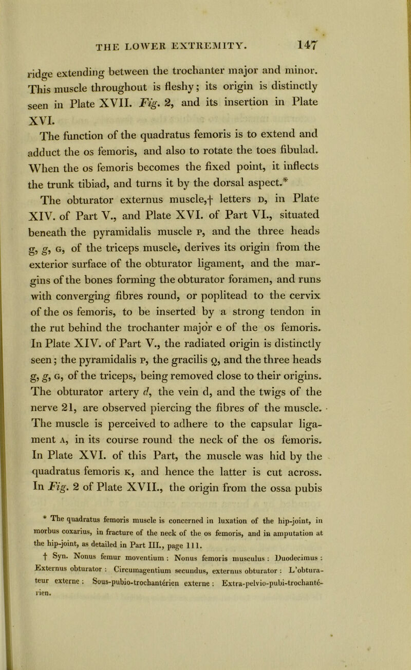 rid«e extending between the trochanter major and minor. This muscle throughout is fleshy; its origin is distinctly seen in Plate XVII. Fig. 2, and its insertion in Plate XVI. The function of the quadratus femoris is to extend and adduct the os femoris, and also to rotate the toes fibulad. When the os femoris becomes the fixed point, it inflects the trunk tibiad, and turns it by the dorsal aspect.* The obturator externus muscle,f letters d, in Plate XIV. of Part V., and Plate XVI. of Part VI., situated beneath the pyramidalis muscle p, and the three heads g, g, g, of the triceps muscle, derives its origin from the exterior surface of the obturator ligament, and the mar- gins of the bones forming the obturator foramen, and runs with converging fibres round, or poplitead to the cervix of the os femoris, to be inserted by a strong tendon in the rut behind the trochanter major e of the os femoris. In Plate XIV. of Part V., the radiated origin is distinctly seen; the pyramidalis p, the gracilis q, and the three heads g, g, g, of the triceps, being removed close to their origins. The obturator artery d, the vein d, and the twigs of the nerve 21, are observed piercing the fibres of the muscle. • The muscle is perceived to adhere to the capsular liga- ment a, in its course round the neck of the os femoris. In Plate XVI. of this Part, the muscle was hid by the quadratus femoris k, and hence the latter is cut across. In Fig. 2 of Plate XVII., the origin from the ossa pubis The quadratus femoris muscle is concerned in luxation of the hip-joint, in morbus coxarius, in fracture of the neck of the os femoris, and in amputation at the hip-joint, as detailed in Part III., page 111. t Syn. Nonus femur moventium : Nonus femoris musculus : lluodecimus : Externus obturator : Circumagentium secundus, externus obturator : L’obtura- teur externe ; Sous-pubio-trochanterien externe ; Extra-pelvio-pubi-trochante- rien.