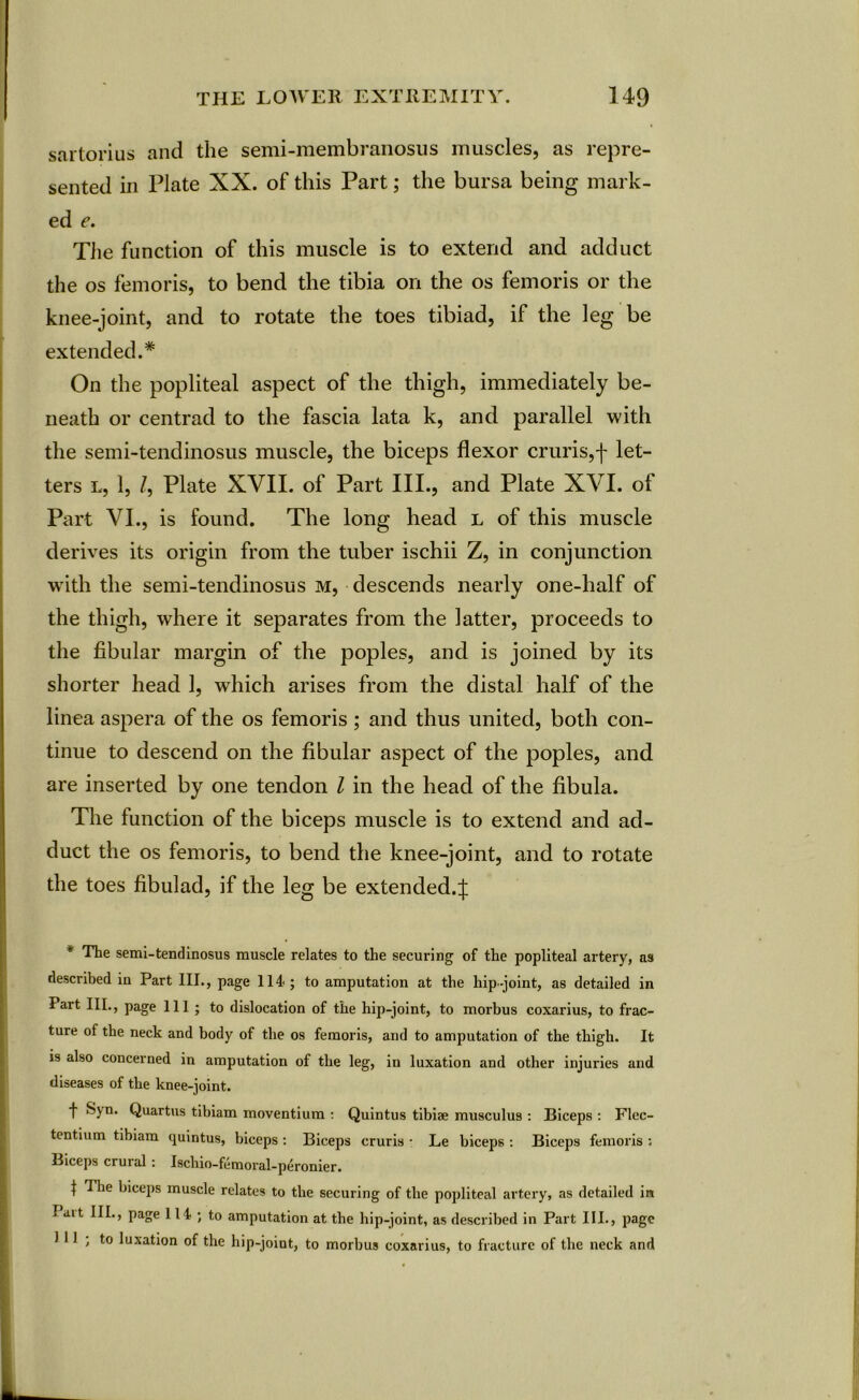 sartorius and the semi-membranosus muscles, as repre- sented in Plate XX. of this Part; the bursa being mark- ed e. The function of this muscle is to extend and adduct the os femoris, to bend the tibia on the os femoris or the knee-joint, and to rotate the toes tibiad, if the leg be extended.* On the popliteal aspect of the thigh, immediately be- neath or centrad to the fascia lata k, and parallel with the semi-tendinosus muscle, the biceps flexor cruris,f let- ters l, 1, /, Plate XVII. of Part III., and Plate XVI. of Part VI., is found. The long head l of this muscle derives its origin from the tuber ischii Z, in conjunction with the semi-tendinosus m, descends nearly one-half of the thigh, where it separates from the latter, proceeds to the fibular margin of the poples, and is joined by its shorter head 1, which arises from the distal half of the linea aspera of the os femoris ; and thus united, both con- tinue to descend on the fibular aspect of the poples, and are inserted by one tendon l in the head of the fibula. The function of the biceps muscle is to extend and ad- duct the os femoris, to bend the knee-joint, and to rotate the toes fibulad, if the leg be extended.:}; * The semi-tendinosus muscle relates to the securing of the popliteal artery, as described in Part III., page 114; to amputation at the hip-joint, as detailed in Part III., page 111 ; to dislocation of the hip-joint, to morbus coxarius, to frac- ture of the neck and body of the os femoris, and to amputation of the thigh. It is also concerned in amputation of the leg, in luxation and other injuries and diseases of the knee-joint. f Syn. Quartus tibiam moventium : Quintus tibiae musculus : Biceps : Flec- tentium tibiam quintus, biceps : Biceps cruris • Le biceps : Biceps femoris : Biceps crural: Ischio-femoral-peronier. j T he biceps muscle relates to the securing of the popliteal artery, as detailed in I <at III., page 114; to amputation at the hip-joint, as described in Part III., page 111; to luxation of the hip-joint, to morbus coxarius, to fracture of the neck and