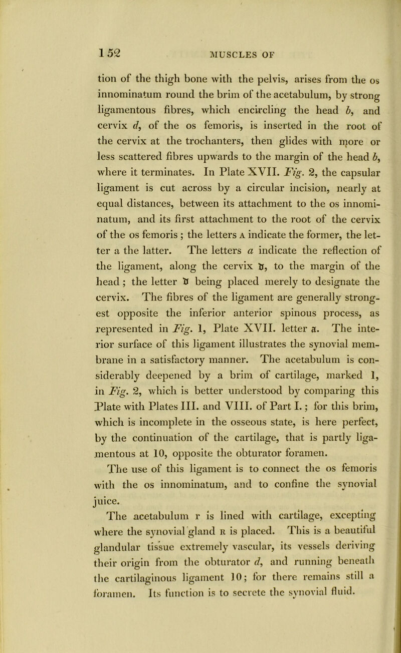 tion of the thigh bone with the pelvis, arises from the os innominatum round the brim of the acetabulum, by strong ligamentous fibres, which encircling the head b, and cervix d, of the os femoris, is inserted in the root of the cervix at the trochanters, then glides with more or less scattered fibres upwards to the margin of the head b, where it terminates. In Plate XVII. Fig. 2, the capsular ligament is cut across by a circular incision, nearly at equal distances, between its attachment to the os innomi- natum, and its first attachment to the root of the cervix of the os femoris ; the letters a indicate the former, the let- ter a the latter. The letters a indicate the reflection of the ligament, along the cervix ft, to the margin of the head ; the letter ft being placed merely to designate the cervix. The fibres of the ligament are generally strong- est opposite the inferior anterior spinous process, as represented in Fig. 1, Plate XVII. letter a. The inte- rior surface of this ligament illustrates the synovial mem- brane in a satisfactory manner. The acetabulum is con- siderably deepened by a brim of cartilage, marked 1, in Fig. 2, which is better understood by comparing this Plate with Plates III. and VIII. of Part I.; for this brim, which is incomplete in the osseous state, is here perfect, by the continuation of the cartilage, that is partly liga- mentous at 10, opposite the obturator foramen. The use of this ligament is to connect the os femoris with the os innominatum, and to confine the synovial juice. The acetabulum r is lined with cartilage, excepting where the synovial gland r is placed. This is a beautiful glandular tissue extremely vascular, its vessels deriving their origin from the obturator d, and running beneath the cartilaginous ligament 30; for there remains still a foramen. Its function is to secrete the synovial fluid.