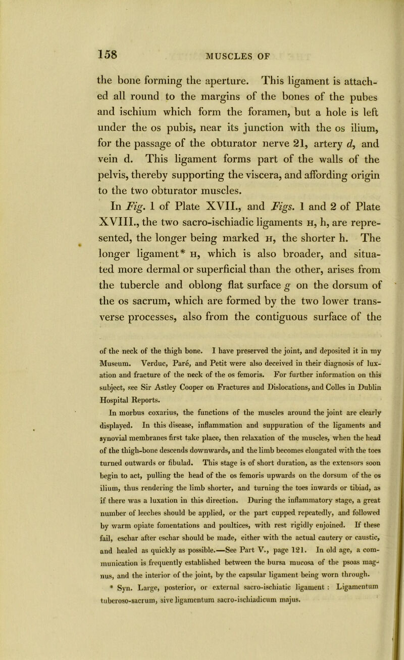 the bone forming the aperture. This ligament is attach- ed all round to the margins of the bones of the pubes and ischium which form the foramen, but a hole is left under the os pubis, near its junction with the os ilium, for the passage of the obturator nerve 21, artery d, and vein d. This ligament forms part of the walls of the pelvis, thereby supporting the viscera, and affording origin to the two obturator muscles. In Fig. 1 of Plate XVII., and Figs. 1 and 2 of Plate XVIII., the two sacro-ischiadic ligaments h, h, are repre- sented, the longer being marked h, the shorter h. The longer ligament* h, which is also broader, and situa- ted more dermal or superficial than the other, arises from the tubercle and oblong flat surface g on the dorsum of the os sacrum, which are formed by the two lower trans- verse processes, also from the contiguous surface of the of the neck of the thigh bone. I have preserved the joint, and deposited it in my Museum. Verduc, Pare, and Petit were also deceived in their diagnosis of lux- ation and fracture of the neck of the os femoris. For further information on this subject, see Sir Astley Cooper on Fractures and Dislocations, and Colles in Dublin Hospital Reports. In morbus coxarius, the functions of the muscles around the joint are clearly displayed. In this disease, inflammation and suppuration of the ligaments and synovial membranes first take place, then relaxation of the muscles, when the head of the thigh-bone descends downwards, and the limb becomes elongated with the toes turned outwards or fibulad. This stage is of short duration, as the extensors soon begin to act, pulling the head of the os femoris upwards on the dorsum of the os ilium, thus rendering the limb shorter, and turning the toes inwards or tibiad, as if there was a luxation in this direction. During the inflammatory stage, a great number of leeches should be applied, or the part cupped repeatedly, and followed by warm opiate fomentations and poultices, with rest rigidly enjoined. If these fail, eschar after eschar should be made, either with the actual cautery or caustic, and healed as quickly as possible.—See Part V., page 121. In old age, a com- munication is frequently established between the bursa mucosa of the psoas mag-1 nus, and the interior of the joint, by the capsular ligament being worn through. * Syn. Large, posterior, or external sacro-ischiatic ligament : Ligamentum tubcroso-sacrum, sive ligamentum sacro-ischiadicum majus.