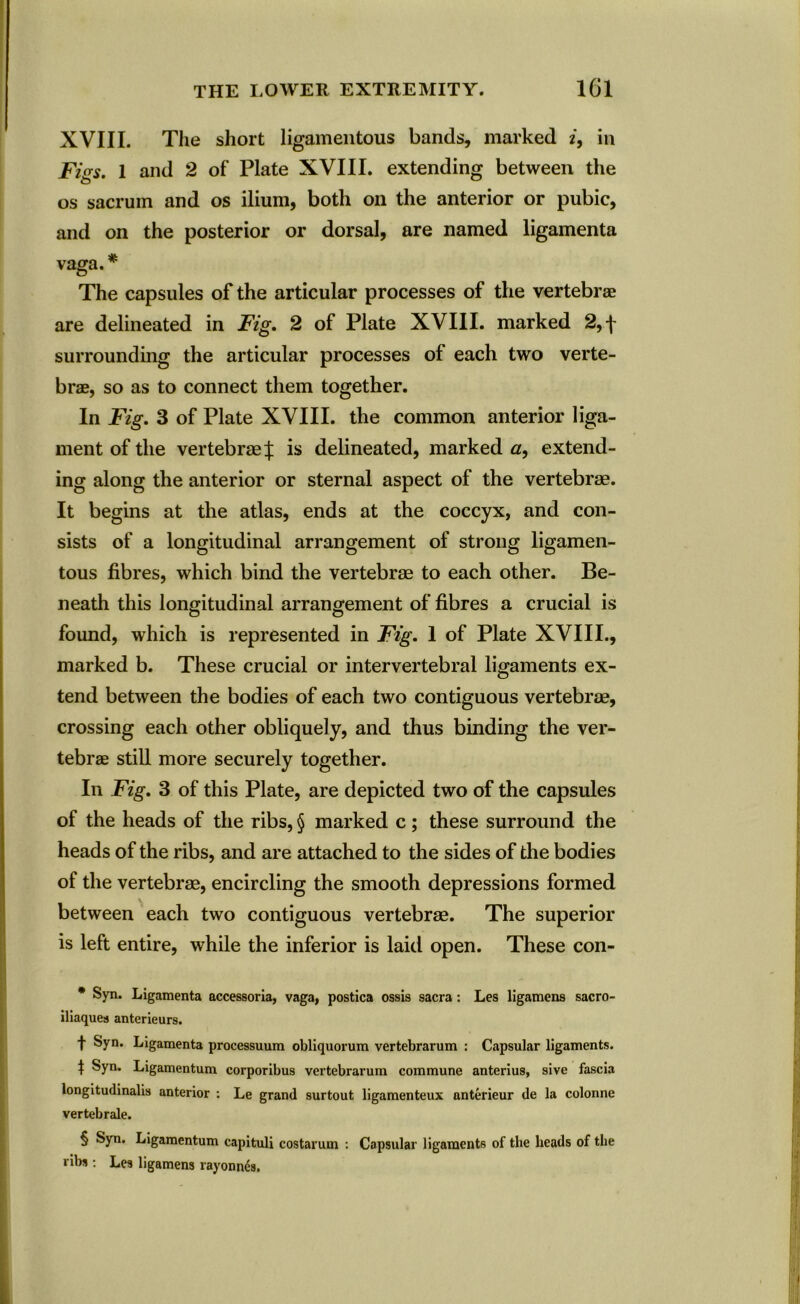 XVIII. The short ligamentous bands, marked 2, in Figs. 1 and 2 of Plate XVIII. extending between the os sacrum and os ilium, both on the anterior or pubic, and on the posterior or dorsal, are named ligamenta vaga. * * * § The capsules of the articular processes of the vertebrae are delineated in Fig. 2 of Plate XVIII. marked 2,f surrounding the articular processes of each two verte- brae, so as to connect them together. In Fig. 3 of Plate XVIII. the common anterior liga- ment of the vertebraef is delineated, marked a, extend- ing along the anterior or sternal aspect of the vertebrae. It begins at the atlas, ends at the coccyx, and con- sists of a longitudinal arrangement of strong ligamen- tous fibres, which bind the vertebrae to each other. Be- neath this longitudinal arrangement of fibres a crucial is found, which is represented in Fig. 1 of Plate XVIII., marked b. These crucial or intervertebral ligaments ex- tend between the bodies of each two contiguous vertebrae, crossing each other obliquely, and thus binding the ver- tebrae still more securely together. In Fig. 3 of this Plate, are depicted two of the capsules of the heads of the ribs, § marked c; these surround the heads of the ribs, and are attached to the sides of the bodies of the vertebrae, encircling the smooth depressions formed between each two contiguous vertebrae. The superior is left entire, while the inferior is laid open. These con- * Syn. Ligamenta accessoria, vaga, postica ossis sacra: Les ligamens sacro- iliaques anterieurs. f Syn. Ligamenta processuum obliquorum vertebrarum : Capsular ligaments. t Syn. Ligamentum corporibus vertebrarum commune anterius, sive fascia longitudinalis anterior : Le grand surtout ligamenteux anterieur de la colonne vertebrale. § Syn. Ligamentum capituli costarum : Capsular ligaments of the heads of the ribs : Les ligamens rayonnes.