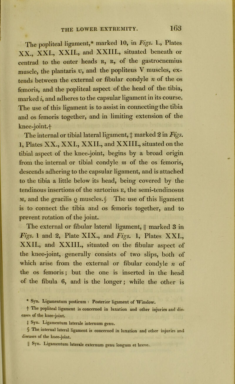 The popliteal ligament,* * * § marked 10, in Figs. 1., Plates XX., XXI., XXII., and XXIII., situated beneath or centrad to the outer heads r, R, of the gastrocnemius muscle, the plantaris u, and the popliteus V muscles, ex- tends between the external or fibular condyle n of the os femoris, and the popliteal aspect of the head of the tibia, marked i, and adheres to the capsular ligament in its course. The use of this ligament is to assist in connecting the tibia and os femoris together, and in limiting extension of the knee-joint.f The internal or tibial lateral ligament, J marked 2 in Figs. l, Plates XX., XXI., XXII., and XXIII., situated on the tibial aspect of the knee-joint, begins by a broad origin from the internal or tibial condyle m of the os femoris, descends adhering to the capsular ligament, and is attached to the tibia a little below its head, being covered by the tendinous insertions of the sartorius e, the semi-tendinosus m, and the gracilis £ muscles. § The use of this ligament is to connect the tibia and os femoris together, and to prevent rotation of the joint. The external or fibular lateral ligament, || marked 3 in Figs. 1 and 2, Plate XIX., and Figs. 1, Plates XXI., XXII., and XXIII., situated on the fibular aspect of the knee-joint, generally consists of two slips, both of which arise from the external or fibular condyle n of the os femoris; but the one is inserted in the head of the fibula 6, and is the longer; while the other is * Syn. Ligaraentum posticum : Posterior ligament of Winslow, t popliteal ligament is concerned in luxation and other injuries and dis'- eases of the knee-joint. | Syn. Ligamentum laterale internum genu. § The internal lateral ligament is concerned in luxation and other injuries and diseases of the knee-joint. || Syn. Ligamentum laterale externum genu longum et breve.