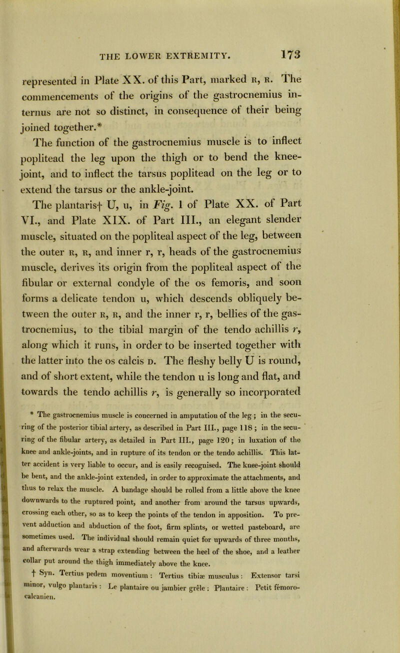 represented in Plate XX. of this Part, marked r, r. The commencements of the origins of the gastrocnemius in- terims are not so distinct, in consequence of their being joined together.* The function of the gastrocnemius muscle is to inflect poplitead the leg upon the thigh or to bend the knee- joint, and to inflect the tarsus poplitead on the leg or to extend the tarsus or the ankle-joint. The plantarisf U, u, in Fig. 1 of Plate XX. ol Part VI., and Plate XIX. of Part III., an elegant slender muscle, situated on the popliteal aspect of the leg, between the outer r, r, and inner r, r, heads of the gastrocnemius muscle, derives its origin from the popliteal aspect of the fibular or external condyle of the os femoris, and soon forms a delicate tendon u, which descends obliquely be- tween the outer r, r, and the inner r, r, bellies of the gas- trocnemius, to the tibial margin of the tendo achillis r, along which it runs, in order to be inserted together with the latter into the os calcis d. The fleshy belly U is round, and of short extent, while the tendon u is long and flat, and towards the tendo achillis r, is generally so incorporated * The gastrocnemius muscle is concerned in amputation of the leg ; in the secu- ring of the posterior tibial artery, as described in Part III., page 118 ; in the secu- ring of the fibular artery, as detailed in Part III., page 120; in luxation of the knee and ankle-joints, and in rupture of its tendon or the tendo achillis. This lat- ter accident is very liable to occur, and is easily recognised. The knee-joint should be bent, and the ankle-joint extended, in order to approximate the attachments, and thus to relax the muscle. A bandage should be rolled from a little above the knee downwards to the ruptured point, and another from around the tarsus upwards, crossing each other, so as to keep the points of the tendon in apposition. To pre- vent adduction and abduction of the foot, firm splints, or wetted pasteboard, are sometimes used. The individual should remain quiet for upwards of three months, and afterwards wear a strap extending between the heel of the shoe, and a leather collai put around the thigh immediately above the knee. | Syn. Tertius pedem moventium : Tertius tibiae musculus : Extensor tarsi minor, vulgo plantaris : Le plantaire ou jambier grele : Plantaire : Petit femoro- calcanien.